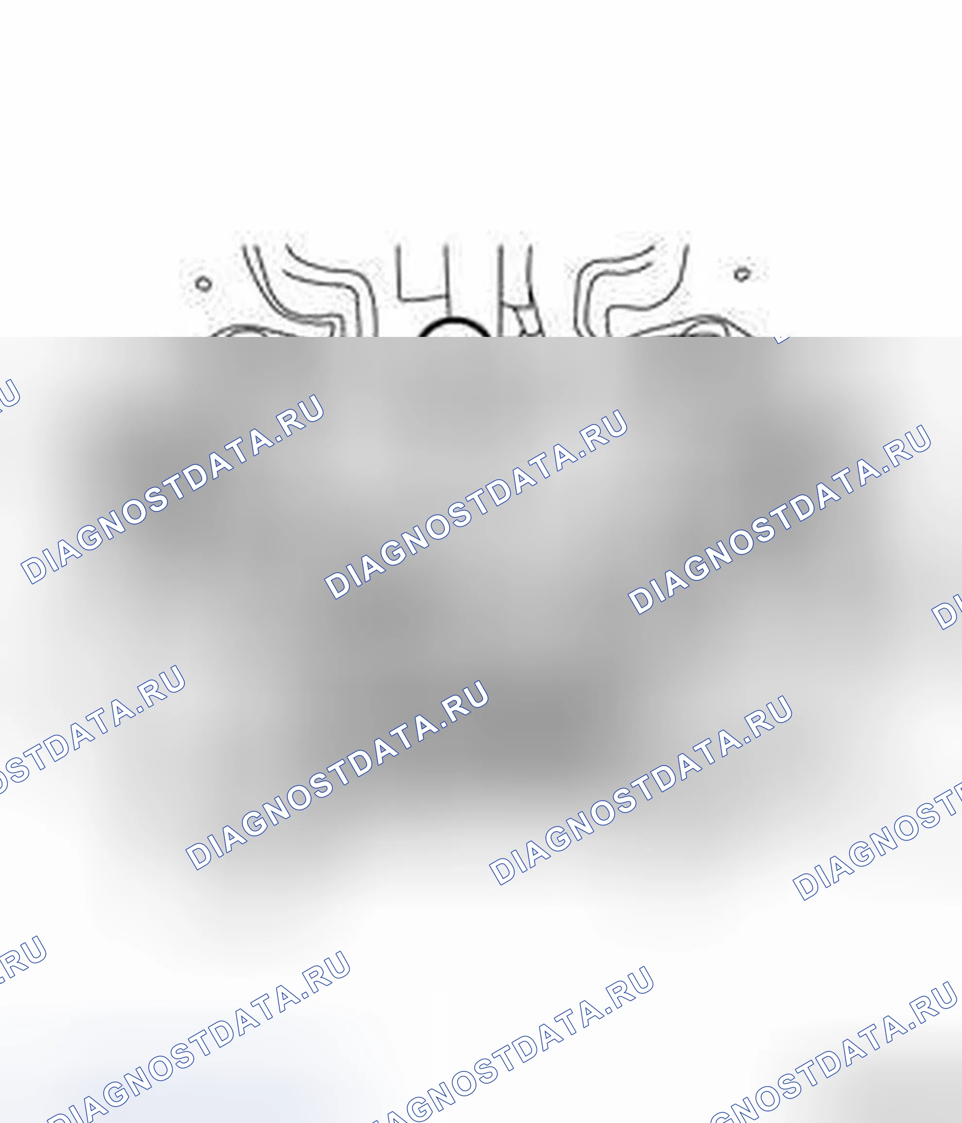 Рис. 19. Dodge Dart PF