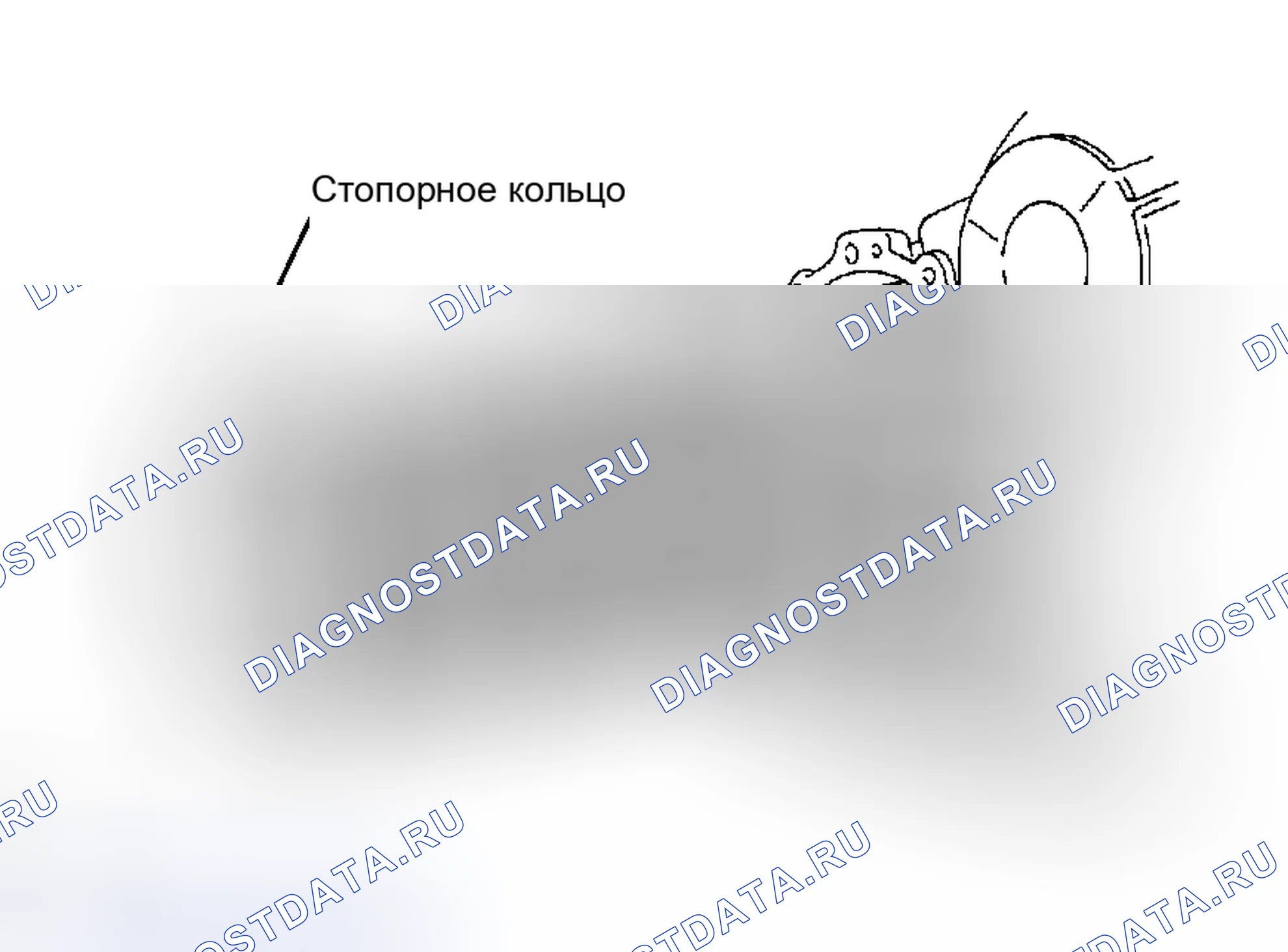 Рис. 245. Toyota Avalon XX30