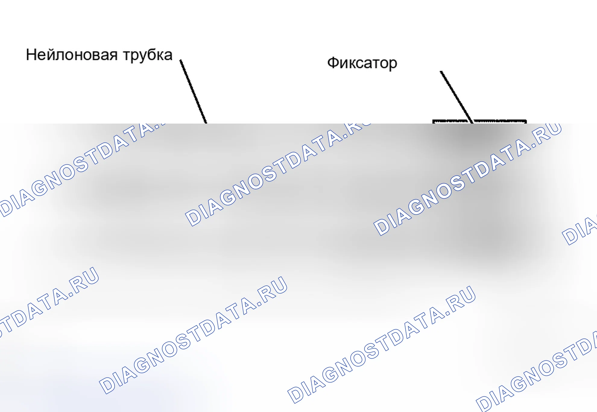 Рис. 5. Toyota Tacoma II