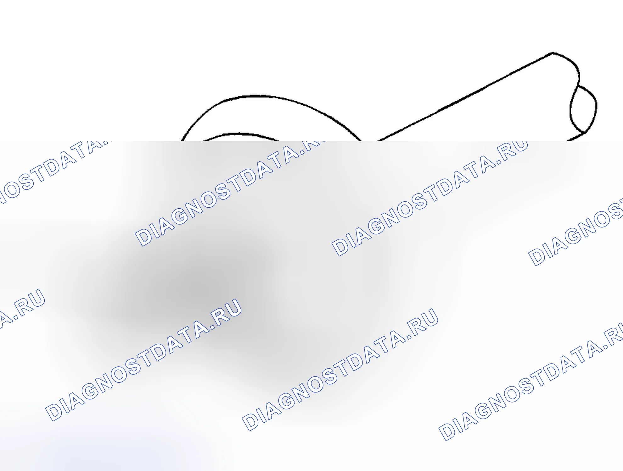 Рис. 109. Hyundai Nexo I