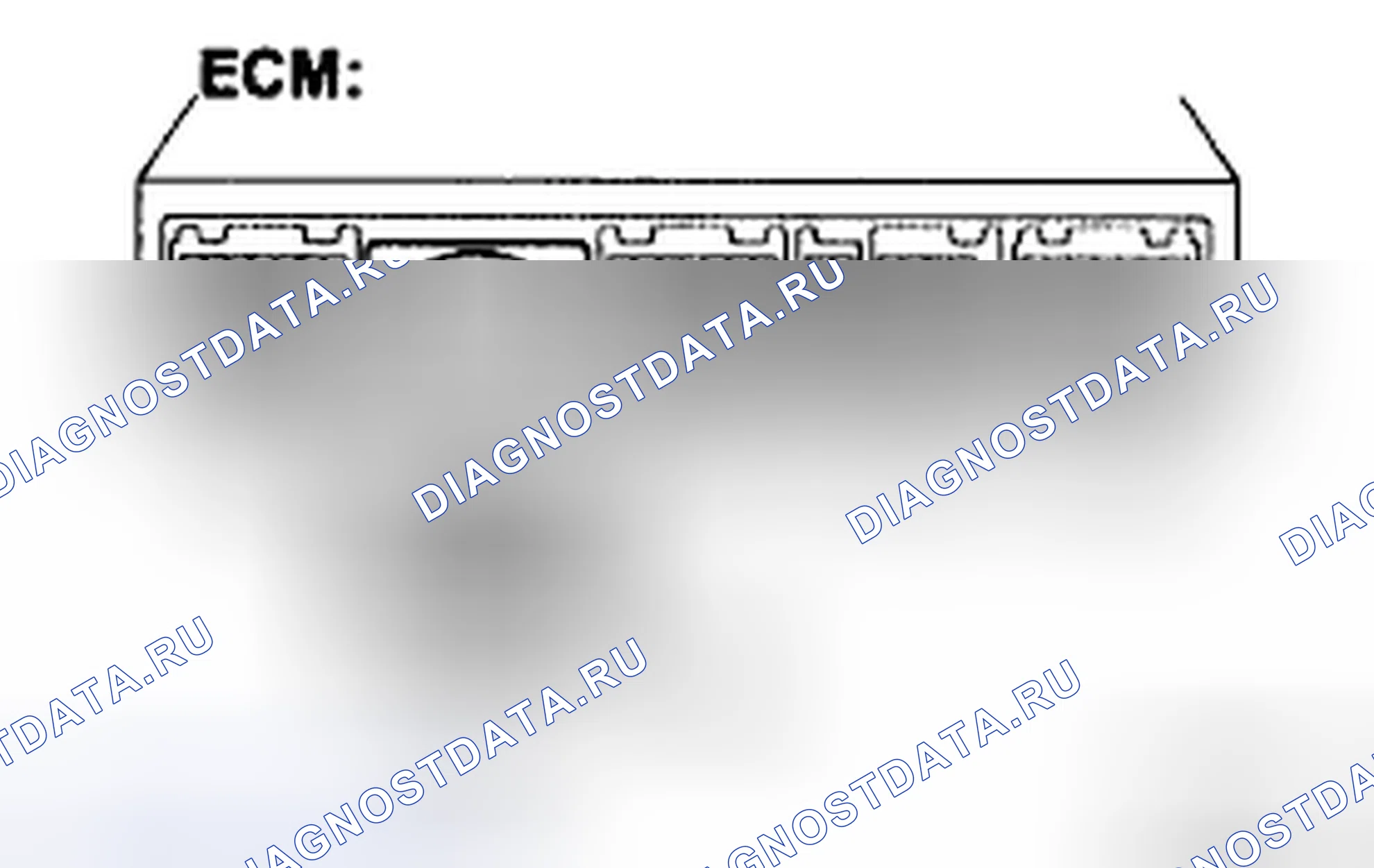Рис. 317. Toyota Tacoma II