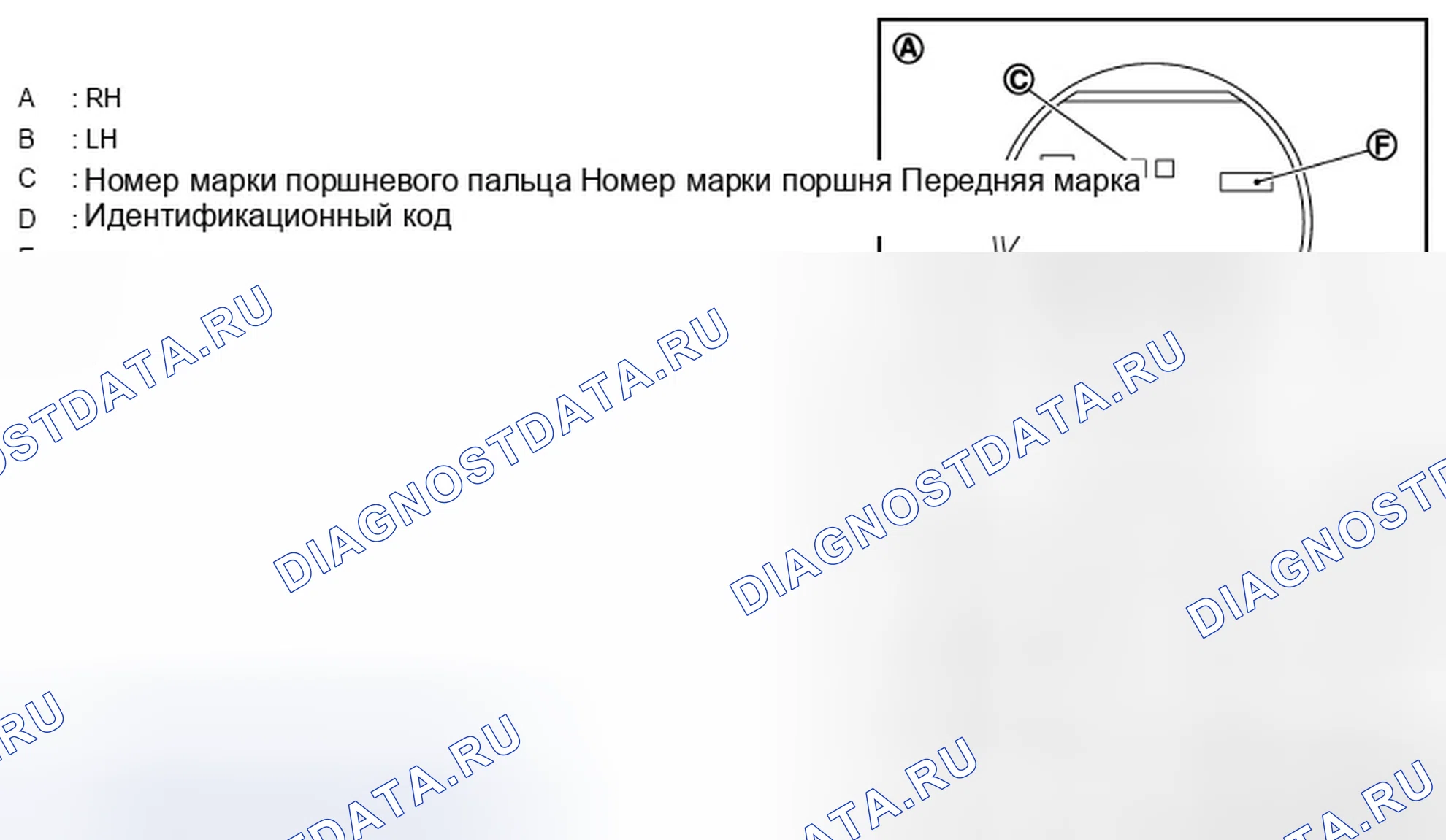 Рис. 279. Infiniti M37 IV