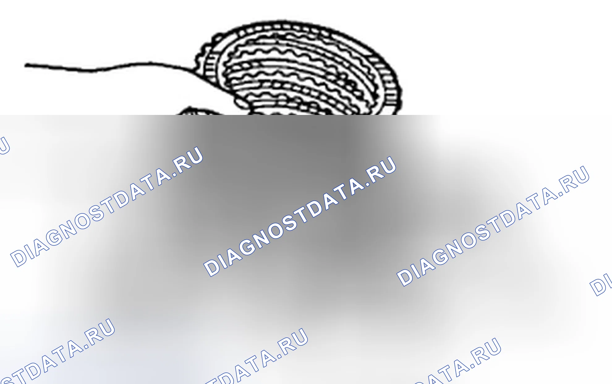 Рис. 95. Hyundai Sonata V рестайлинг