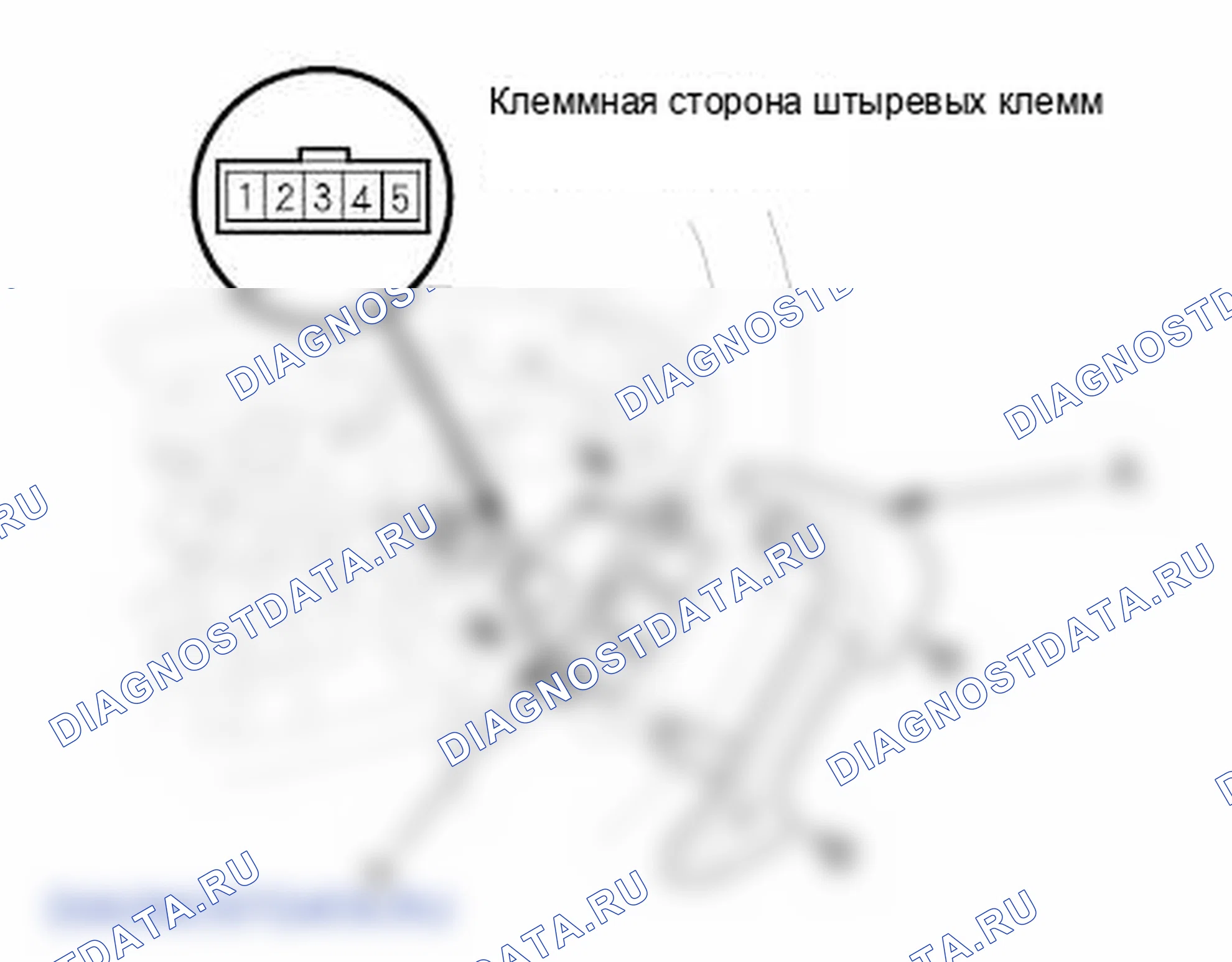 Рис. 9: ' 09-11 Модели. Honda Element YH2 рестайлинг 2