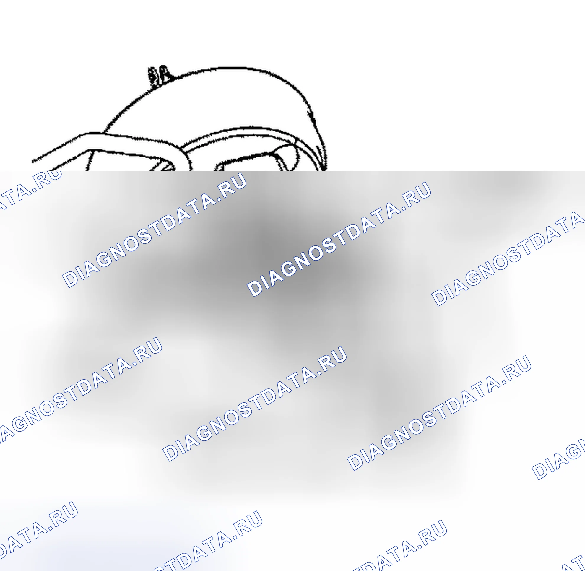 Рис. 29: ЗАМЕНА. Kia Sedona I