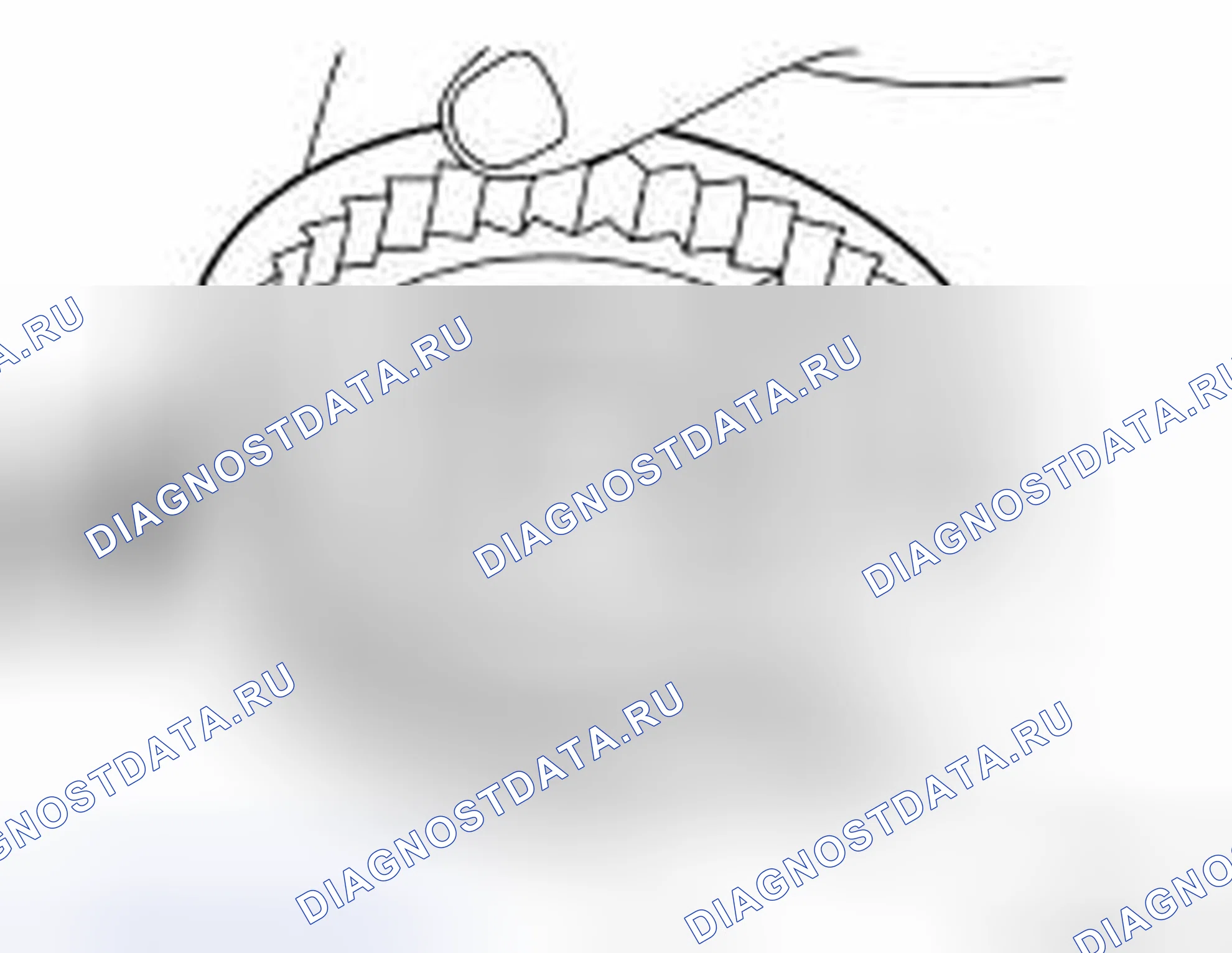 Рис. 103: Синхронизатор. Audi RS6 C8