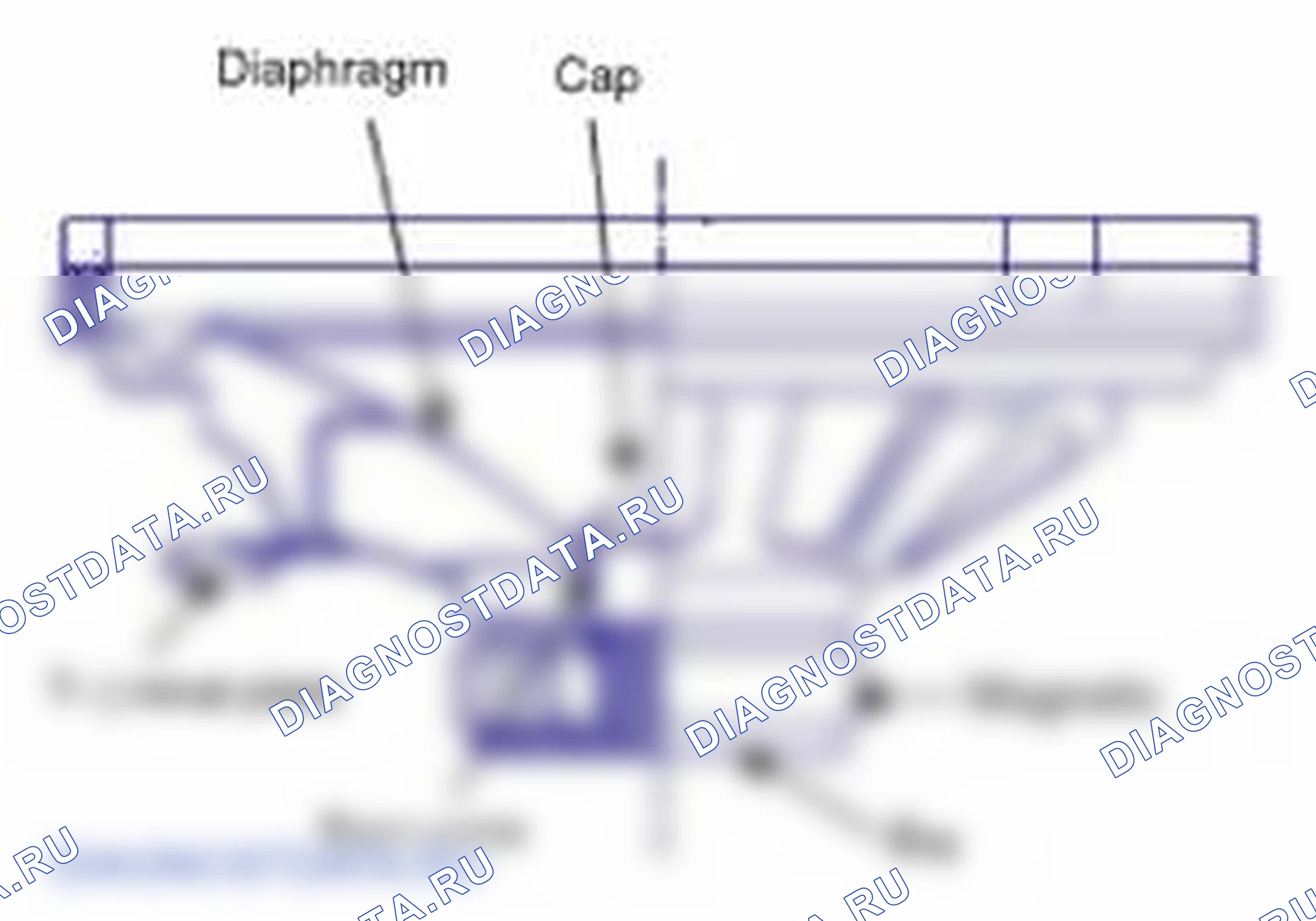 Рис. 4: Проверка мультимедиа. Hyundai Elantra V