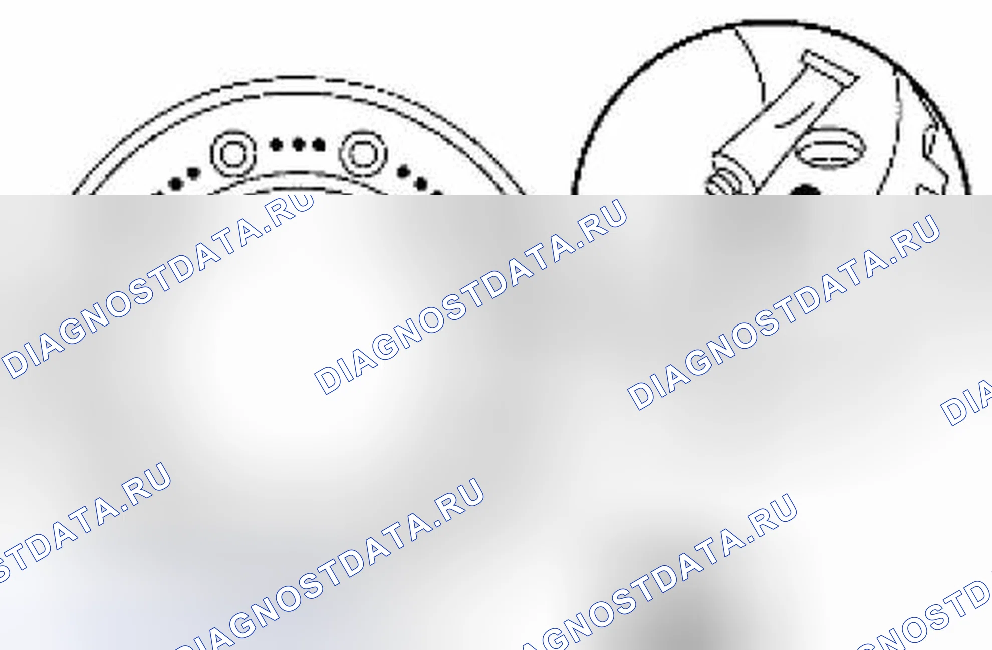 Рис. 300. Suzuki Equator I