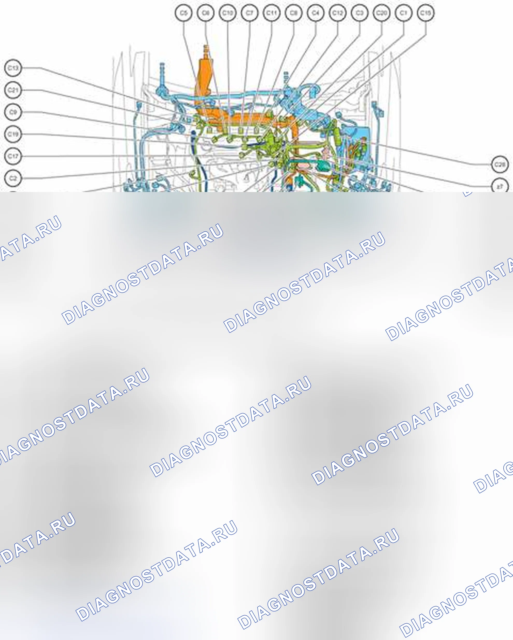 Рис. 495. Honda Accord V