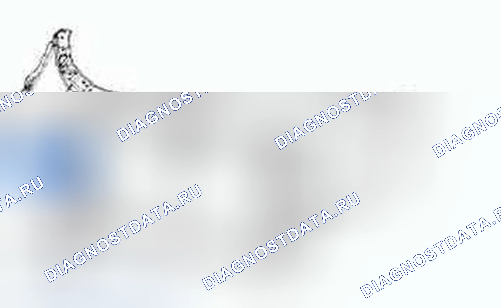 Рис. 203: Расположение компонентов. Hyundai Genesis I рестайлинг