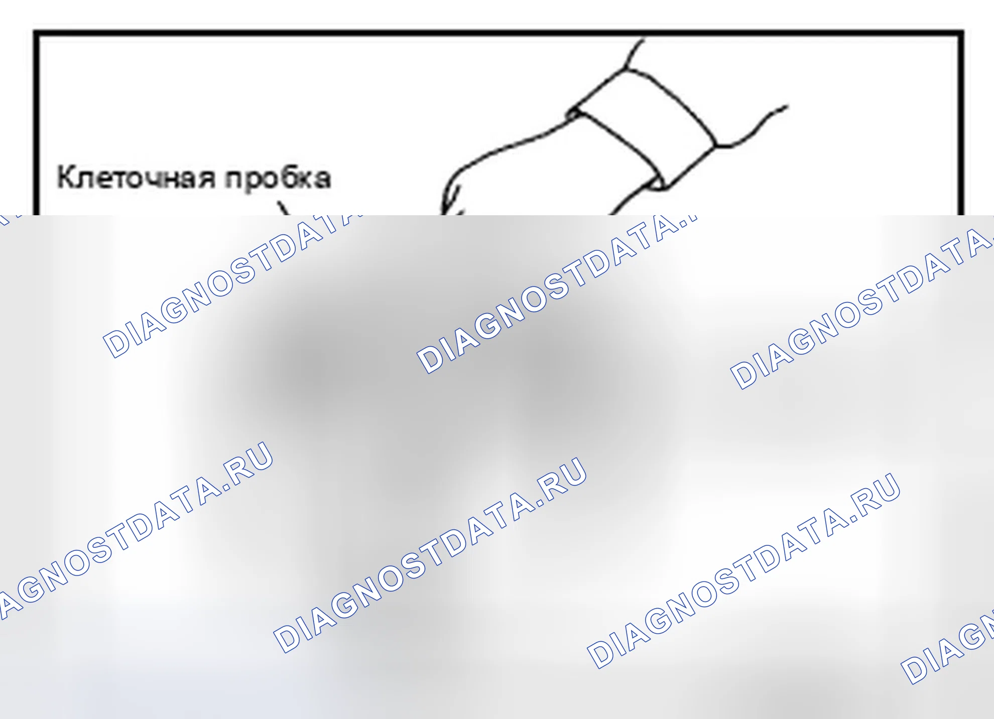 Рис. 8. Infiniti QX50 I