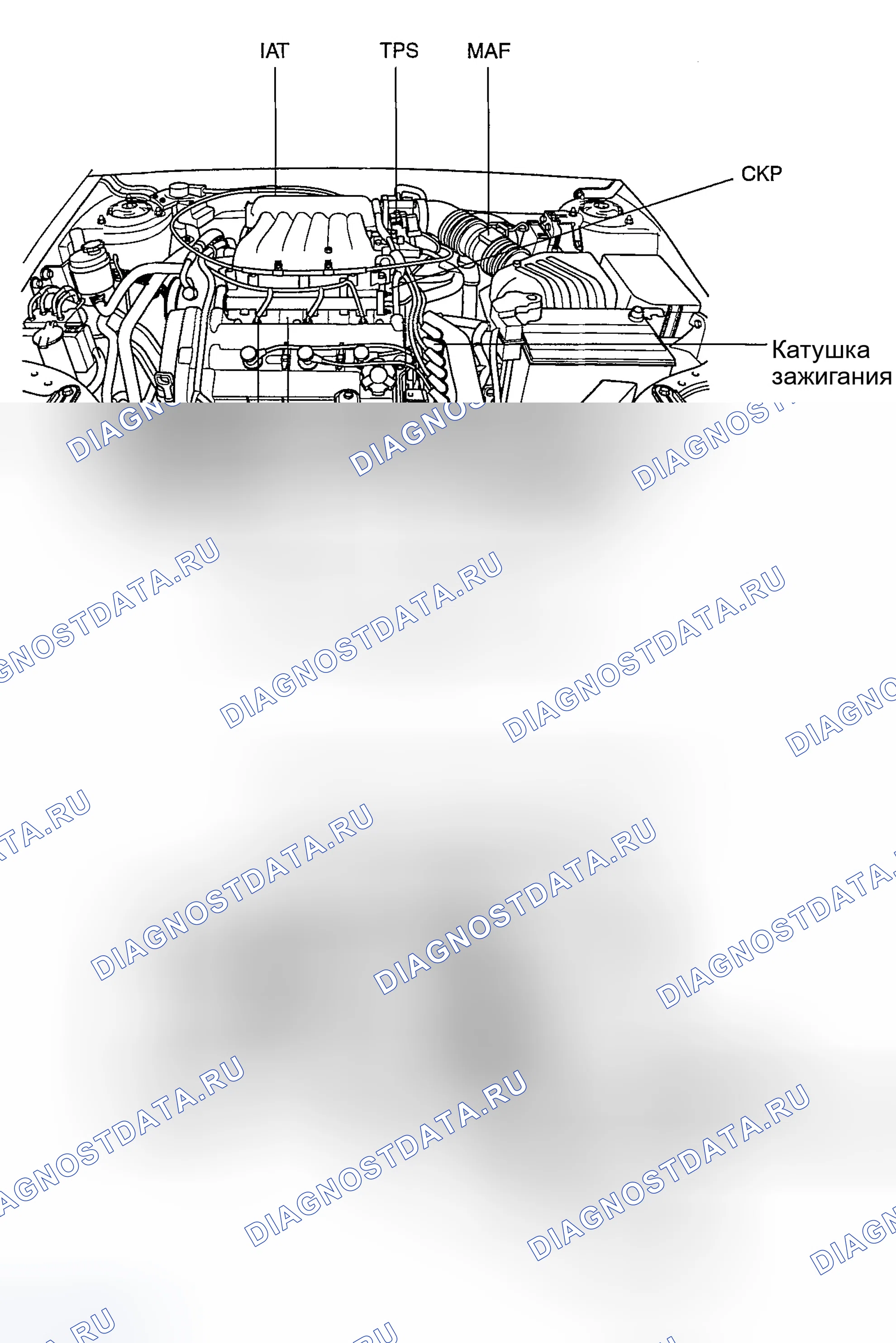 Рис. 312: РАСПОЛОЖЕНИЕ КОМПОНЕНТОВ распределённый впрыск топлива. Hyundai Tiburon II