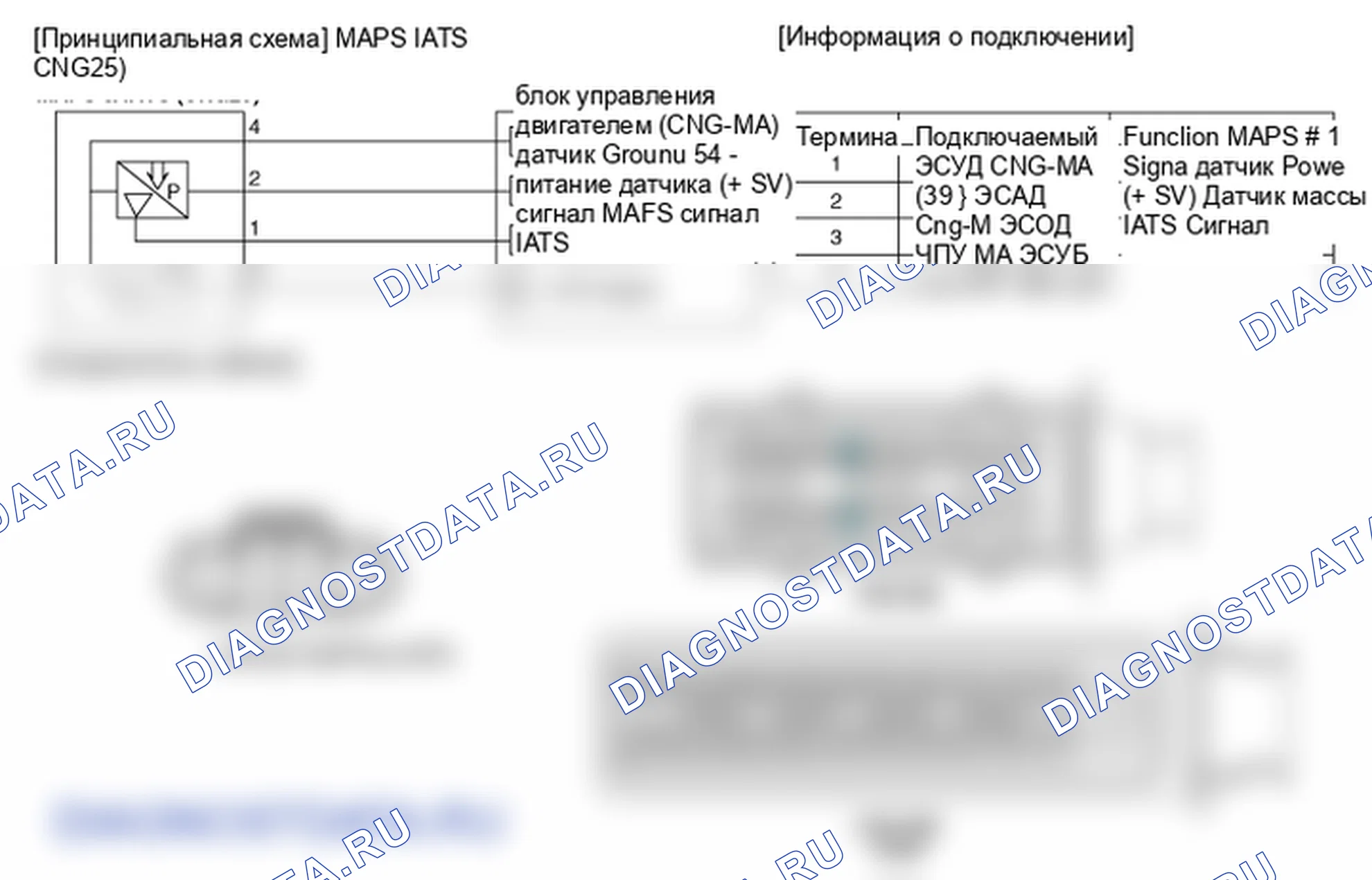 Фрагмент электросхемы: Датчик температуры всасываемого воздуха (IATS). Hyundai Elantra V рестайлинг