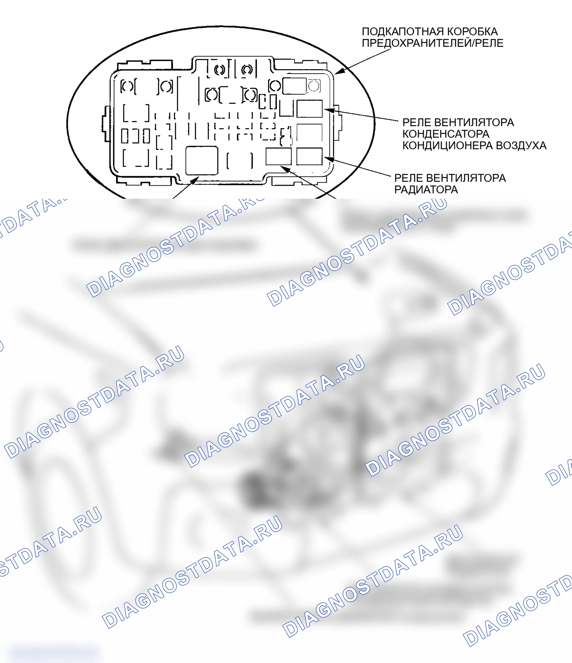 Рис. 95. Honda Element YH2