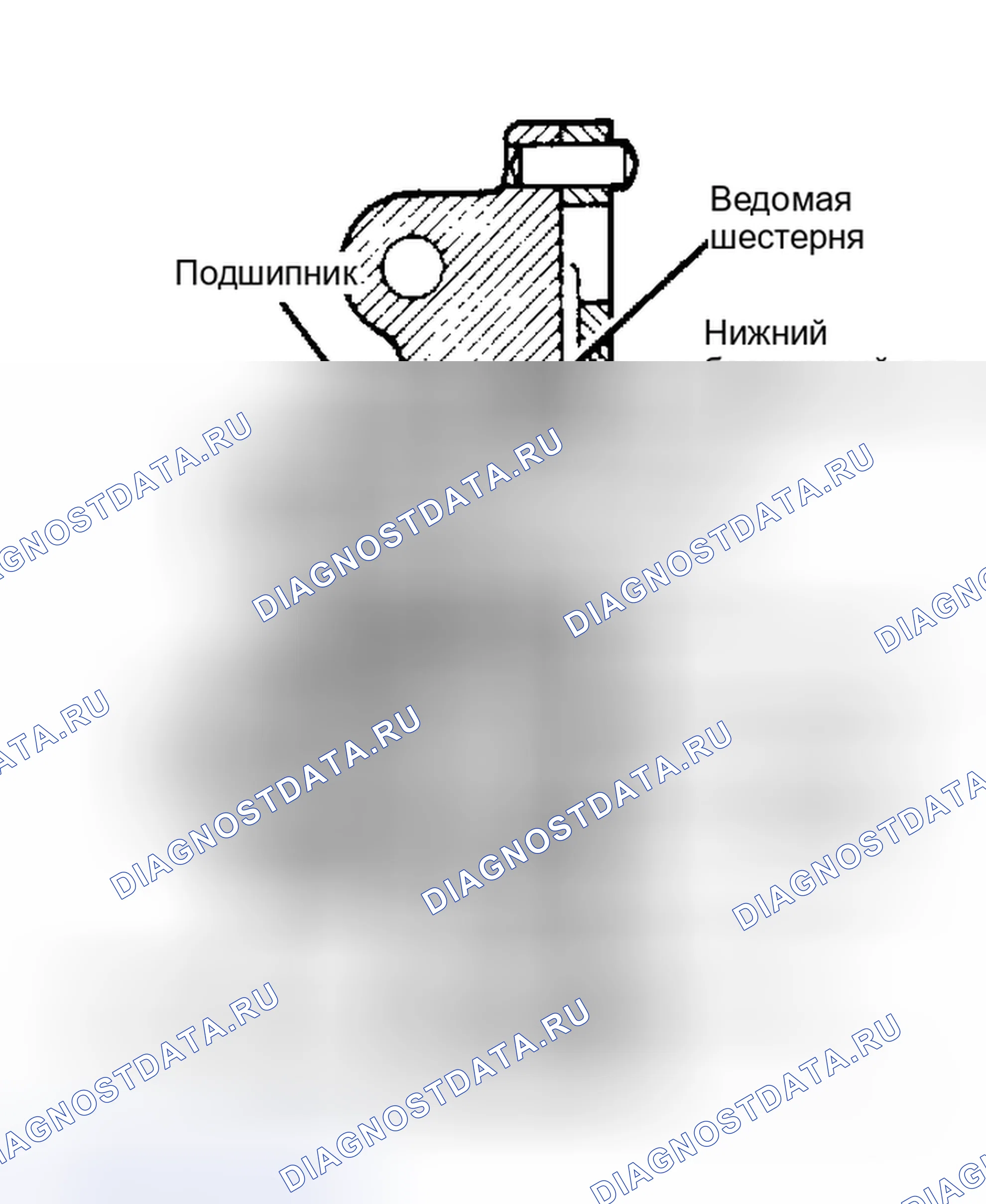 Рис. 13: Вид в разрезе масляного насоса шестеренчатого типа. Plymouth Reliant I