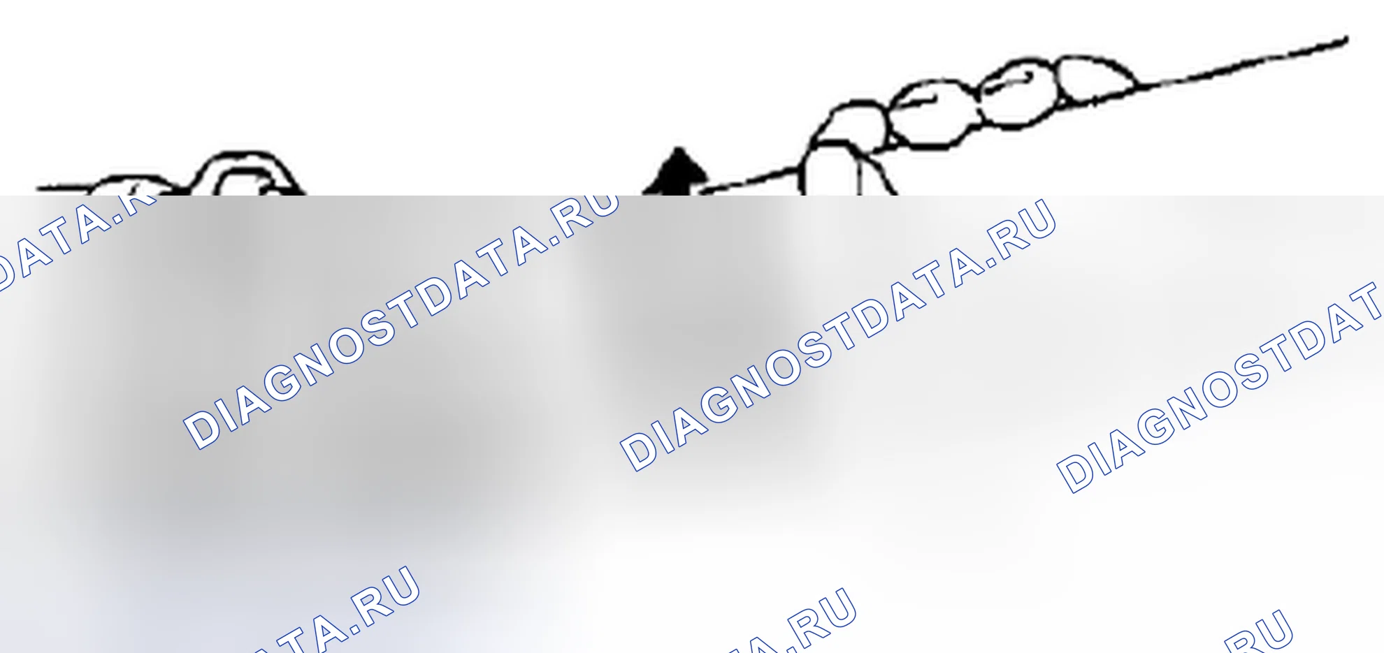 Рис. 4: Проверка соединения карданного вала. Suzuki SX4 I