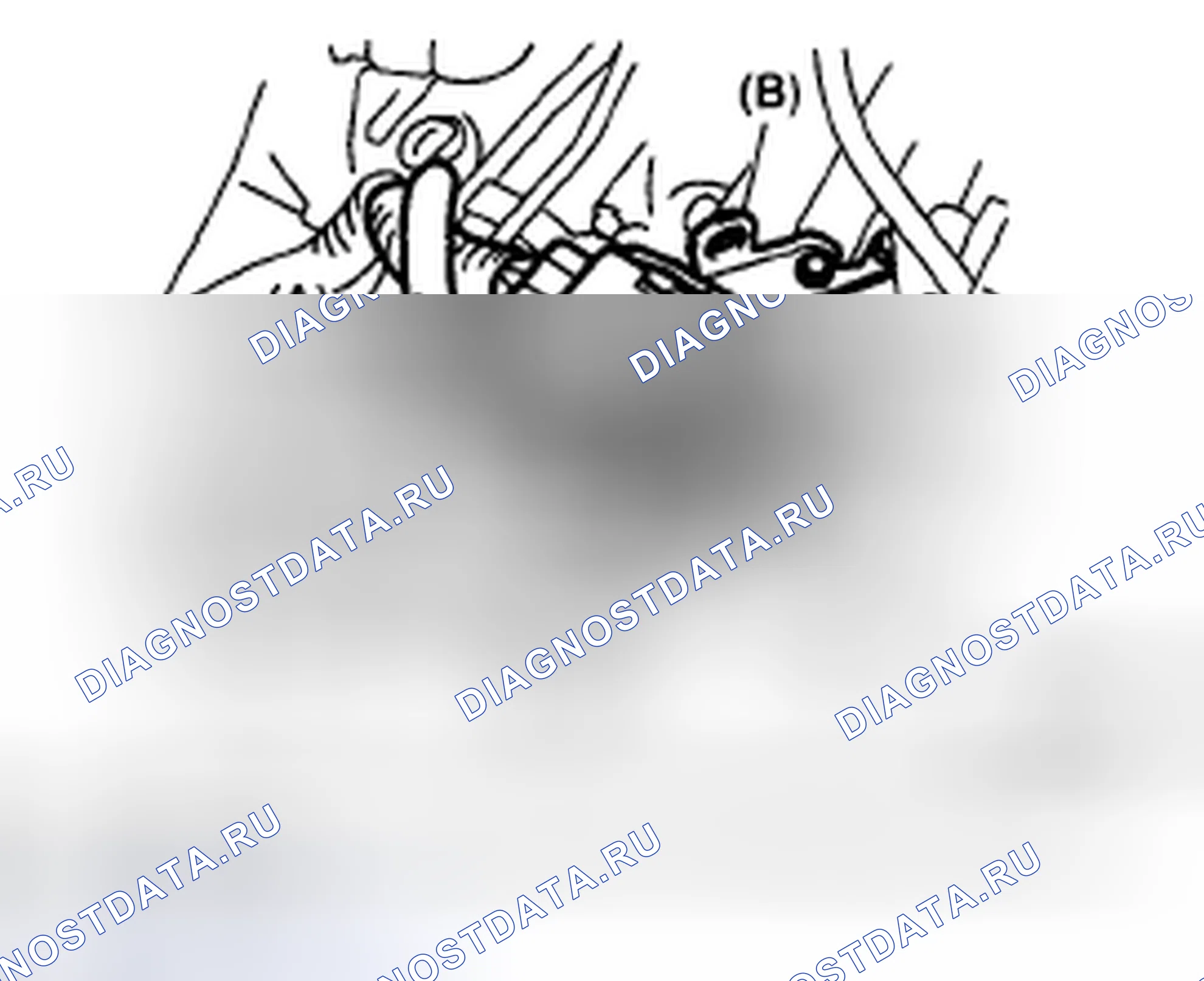 Рис. 653. Subaru Outback BP рестайлинг