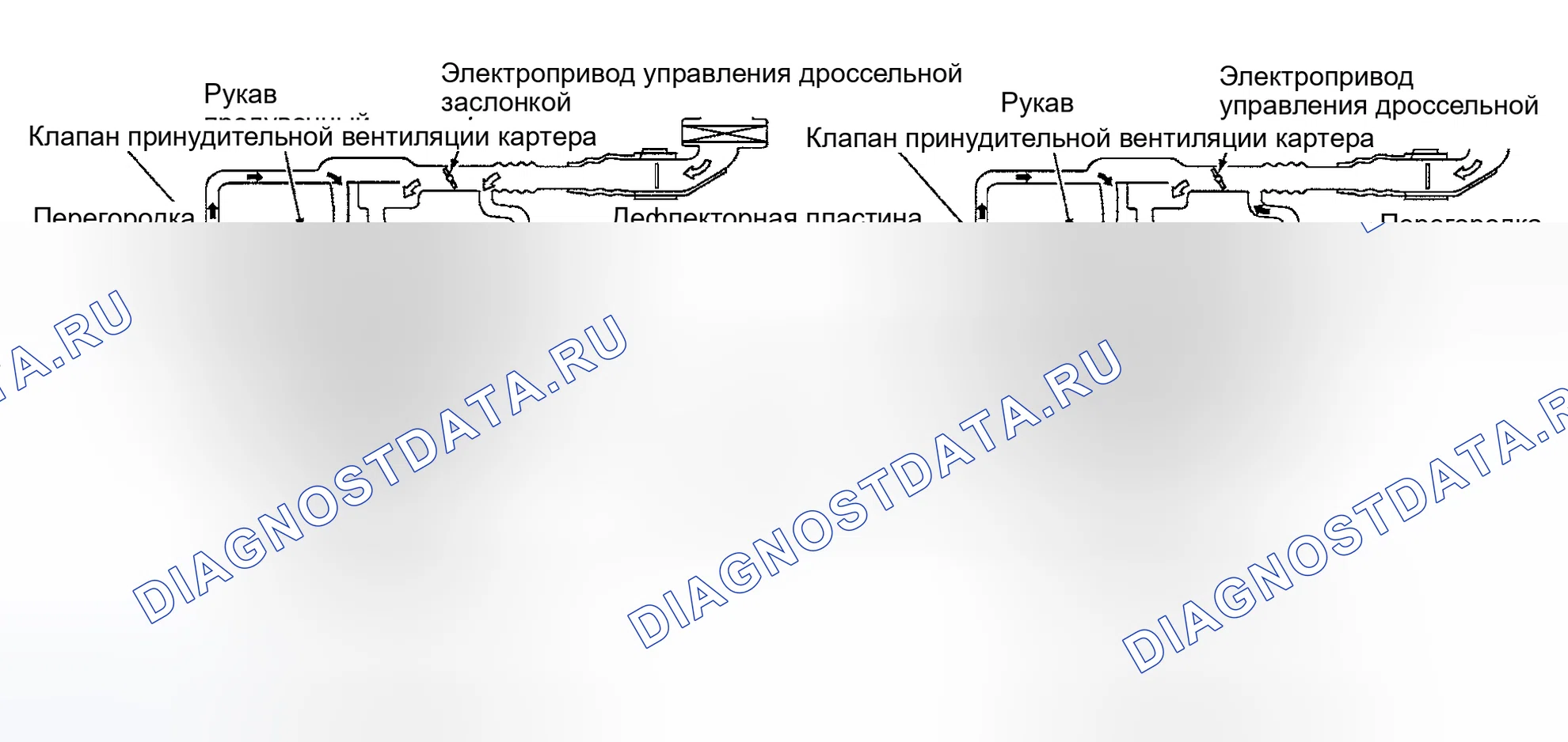 Рис. 62: ПРИНУДИТЕЛЬНАЯ ВЕНТИЛЯЦИЯ КАРТЕРА. Nissan 350Z I