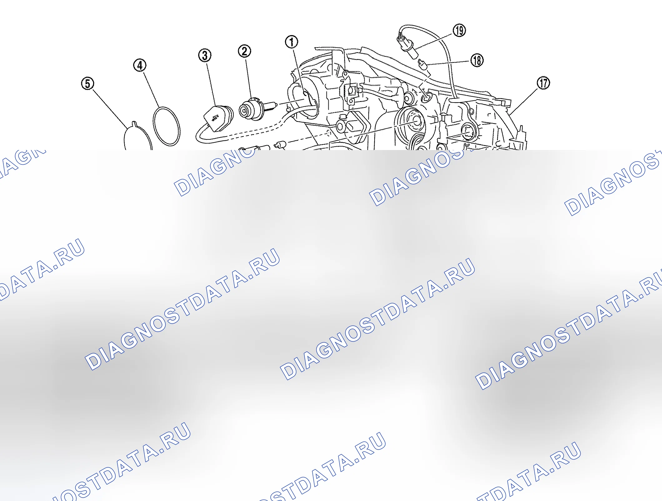 Рис. 182: Разборка и сборка. Infiniti M35 III