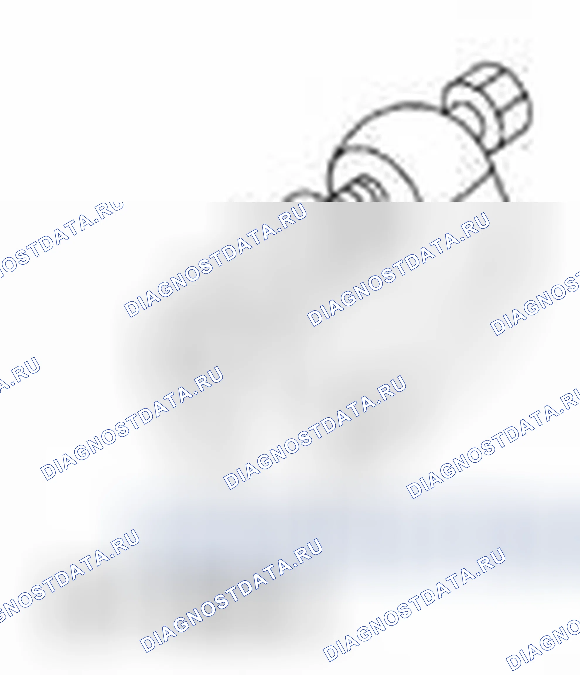 Рис. 1144. Ford Edge I рестайлинг