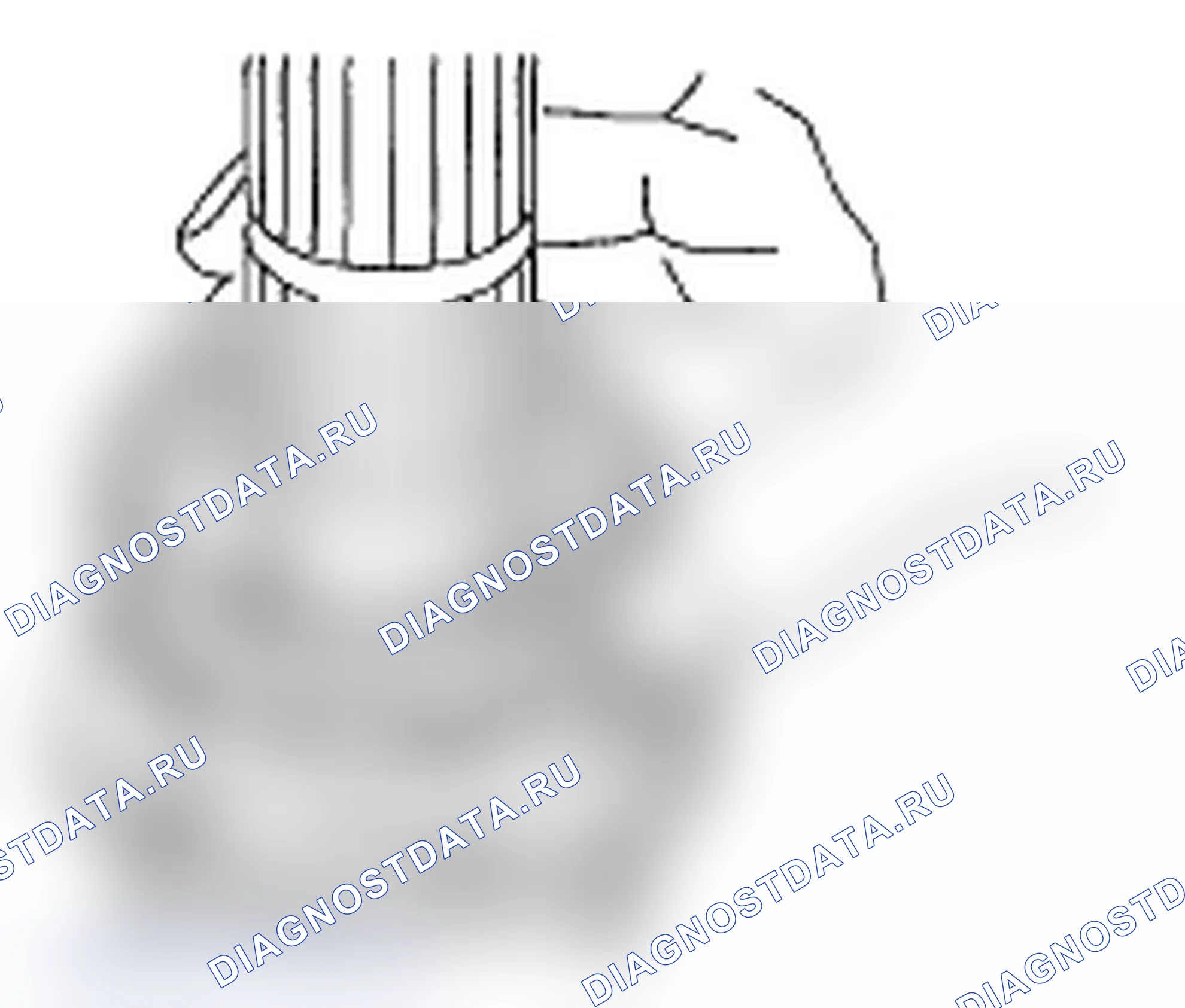 Рис. 331. Subaru Impreza WRX GD/GG рестайлинг 2