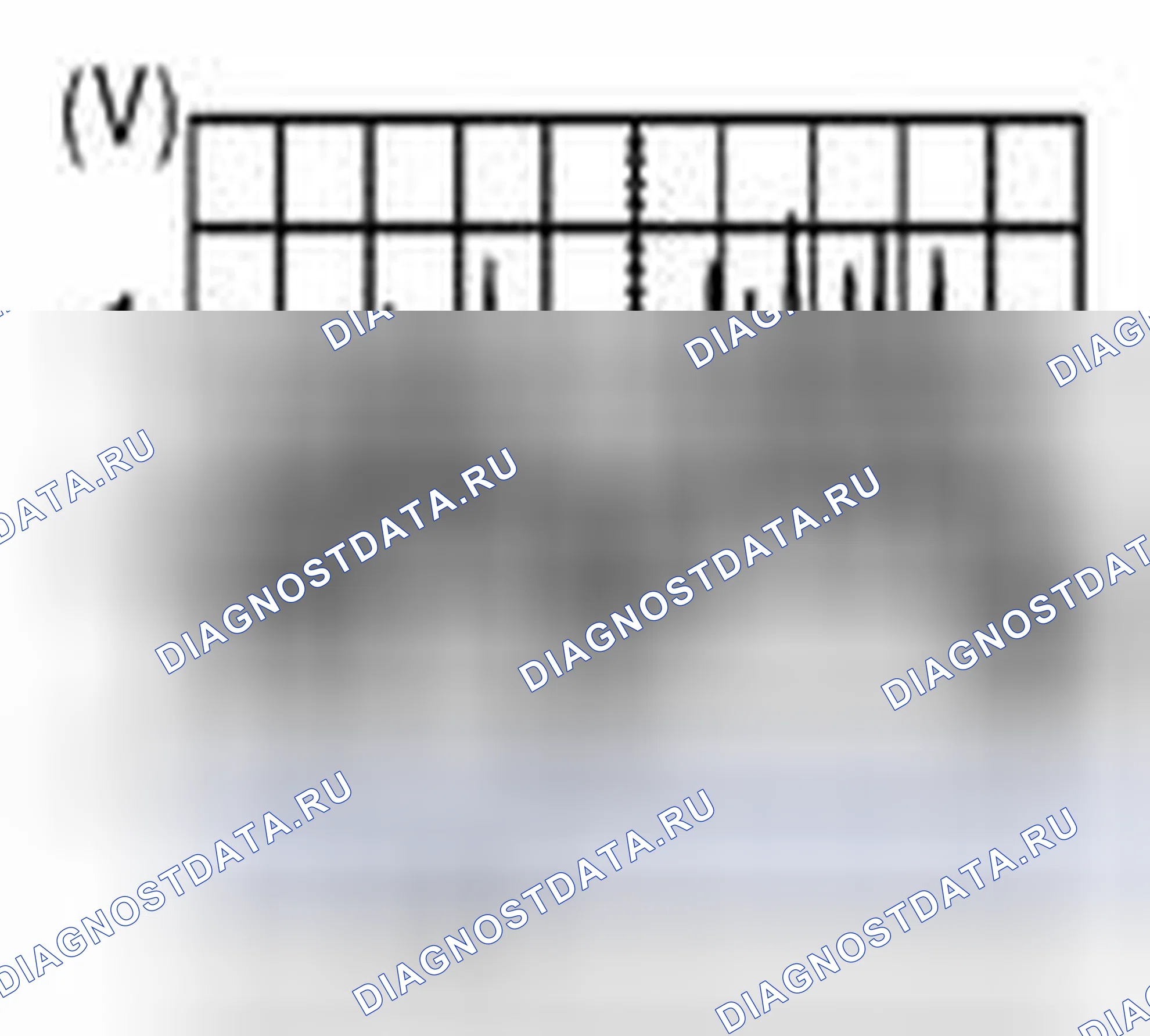 Рис. 222. Suzuki Equator I