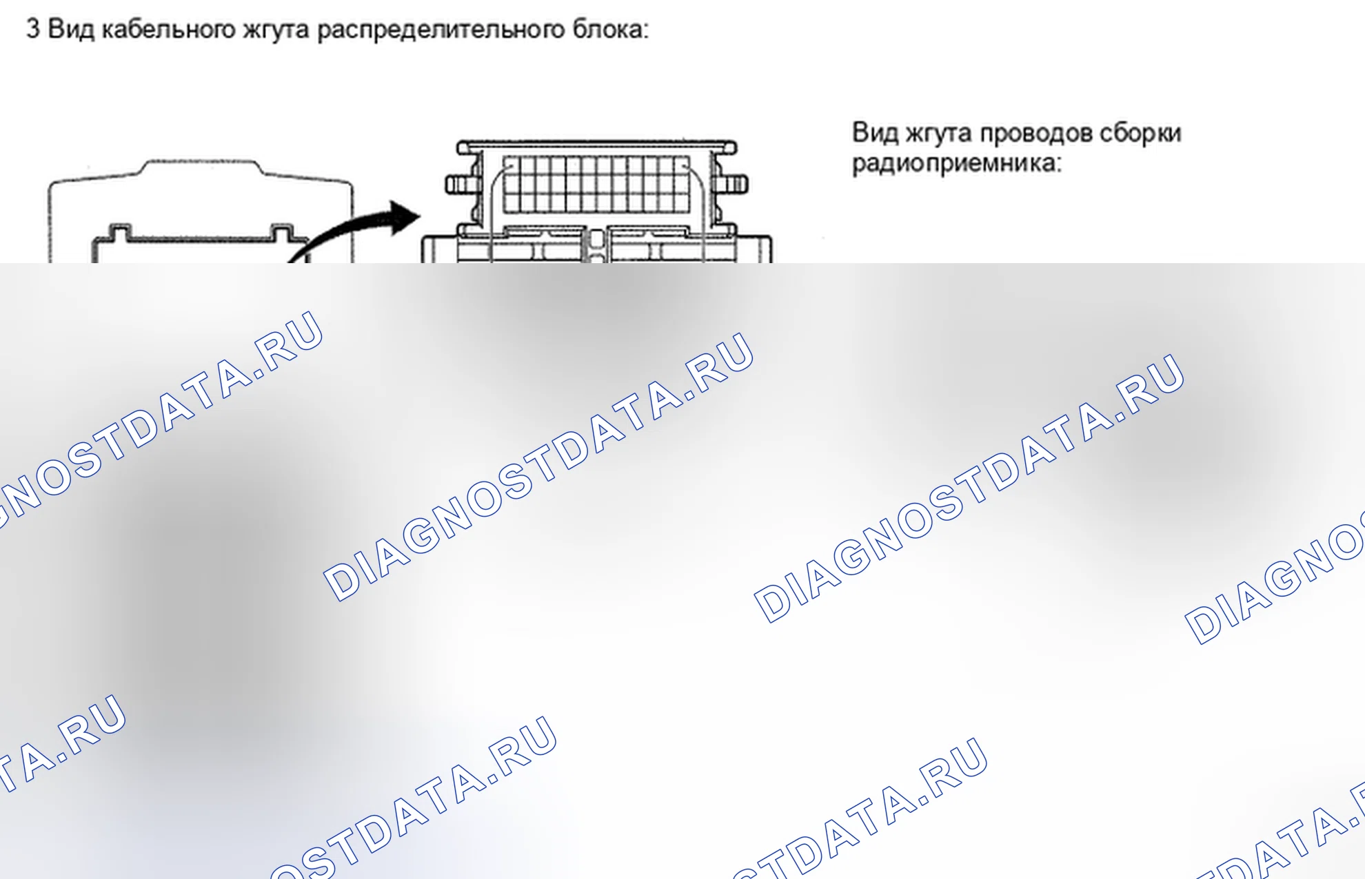 Рис. 3. Toyota Camry XV40