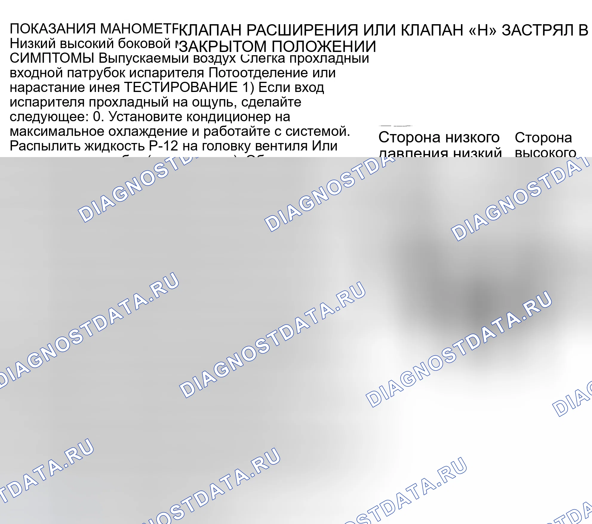 Рис. 12. Dodge Dakota WS 