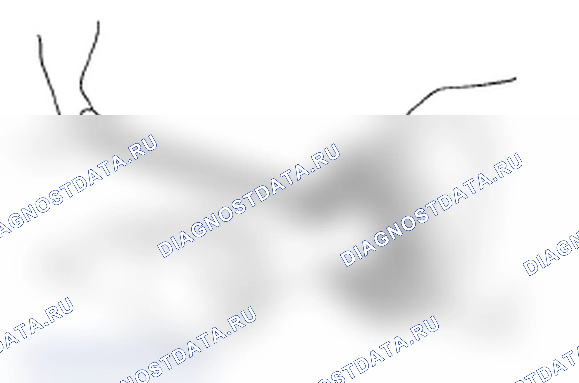 Рис. 104. Subaru Impreza WRX STI GR
