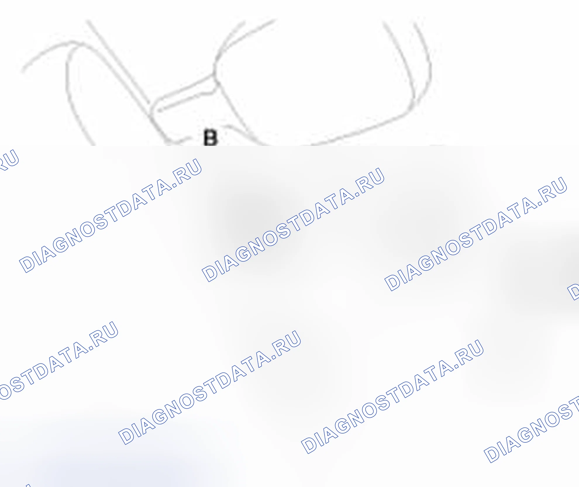 Рис. 156. Haval Beast (Shenshou) I