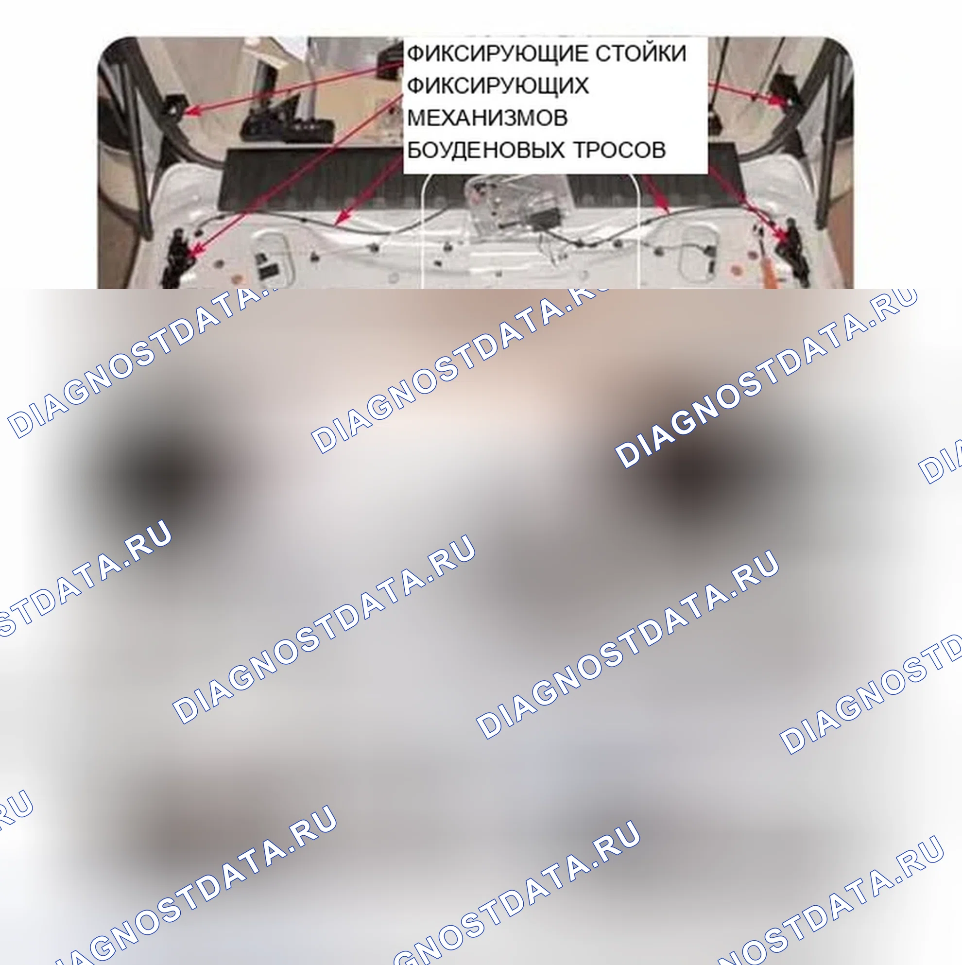 Рис. 67: Компоненты нижней двери багажника. BMW X5 E53