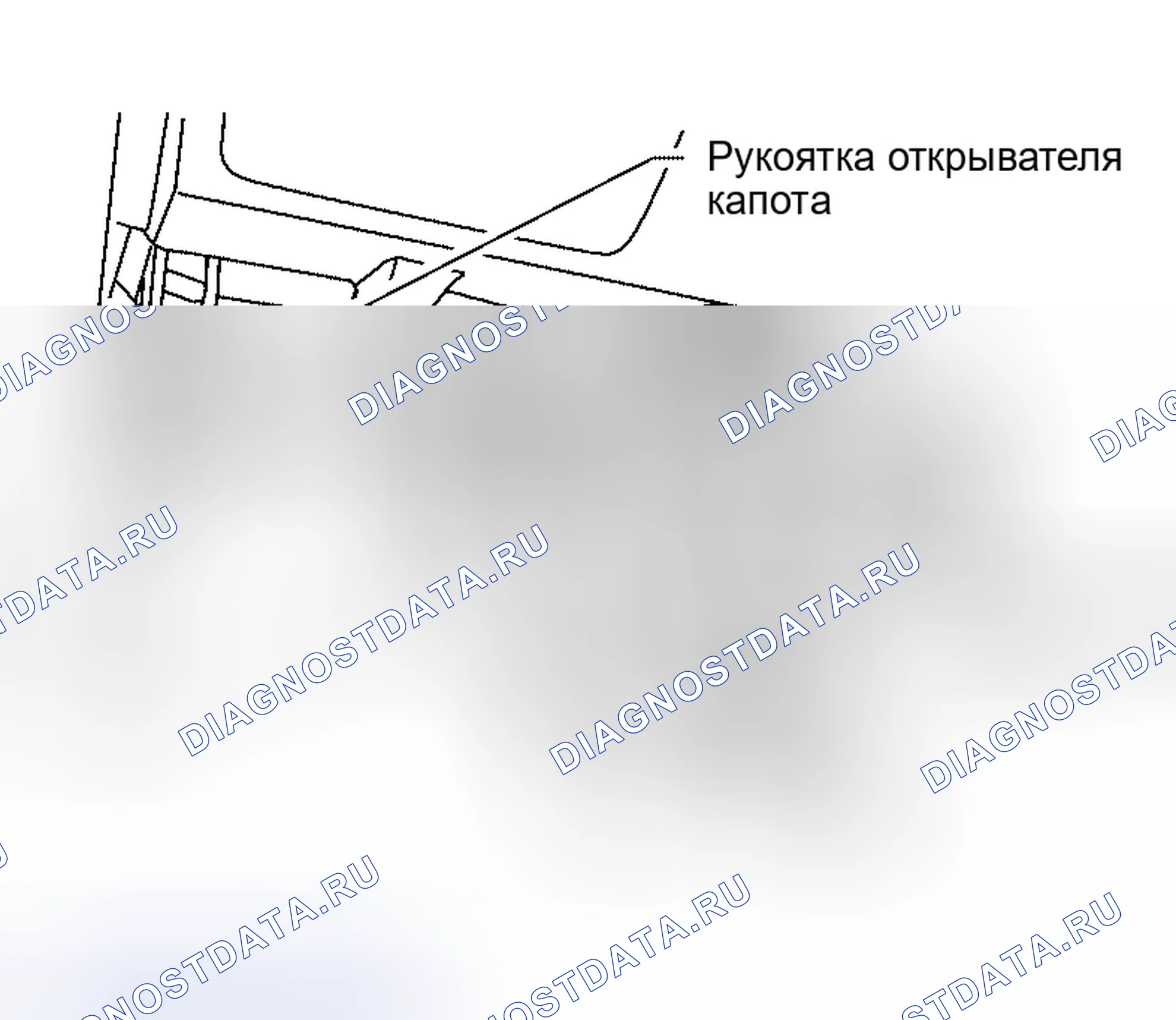 Рис. 482. Nissan Altima L31 рестайлинг