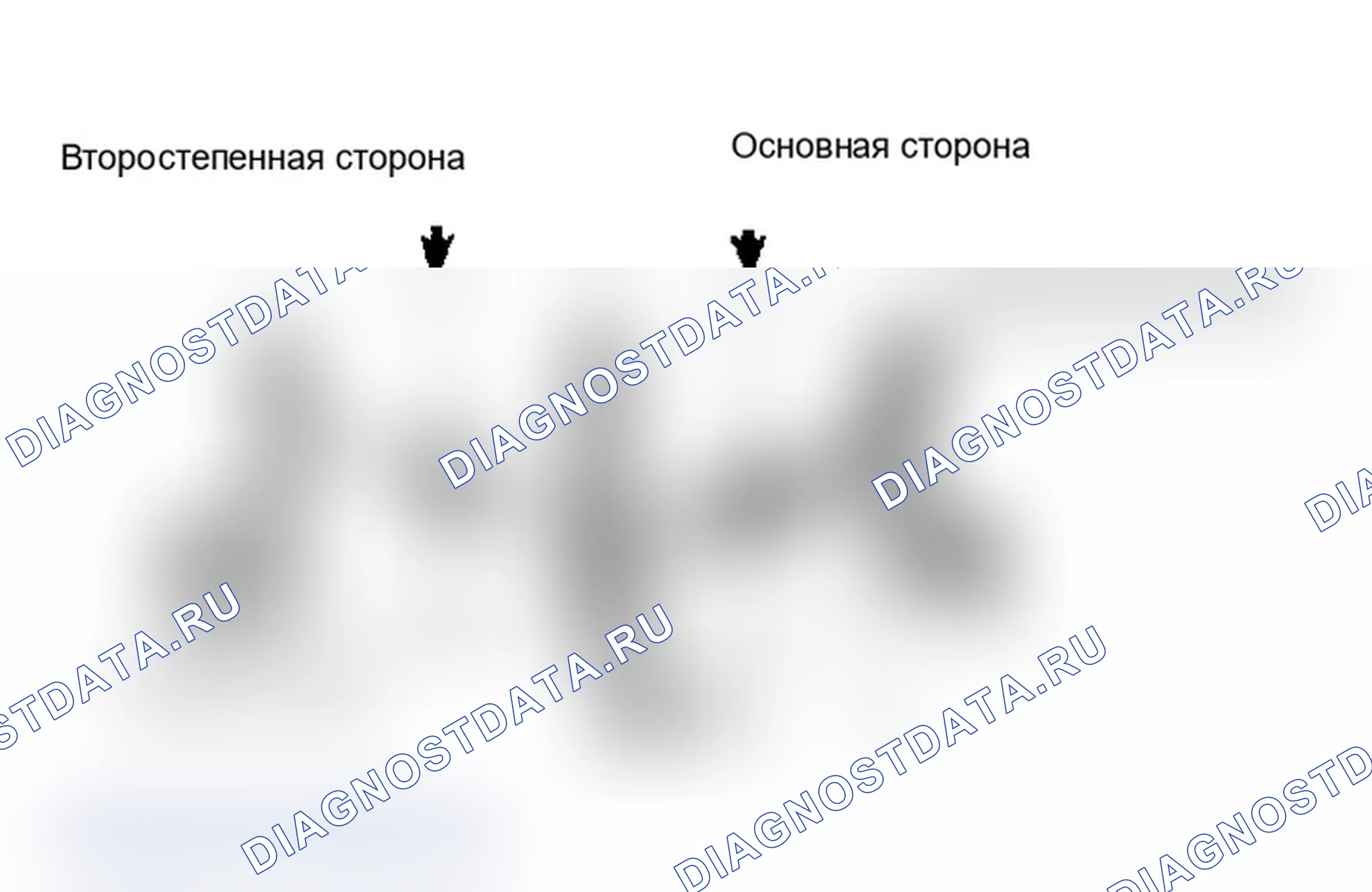 Дефекты и повреждение лакокрасочного покрытия: описание и работа. Ford B-MAX I