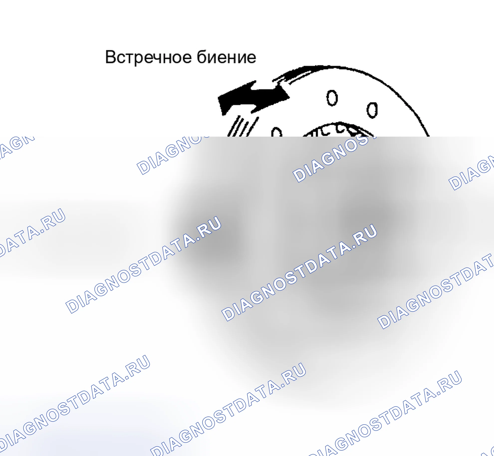 Рис. 9: Диск сцепления. Nissan 350Z I