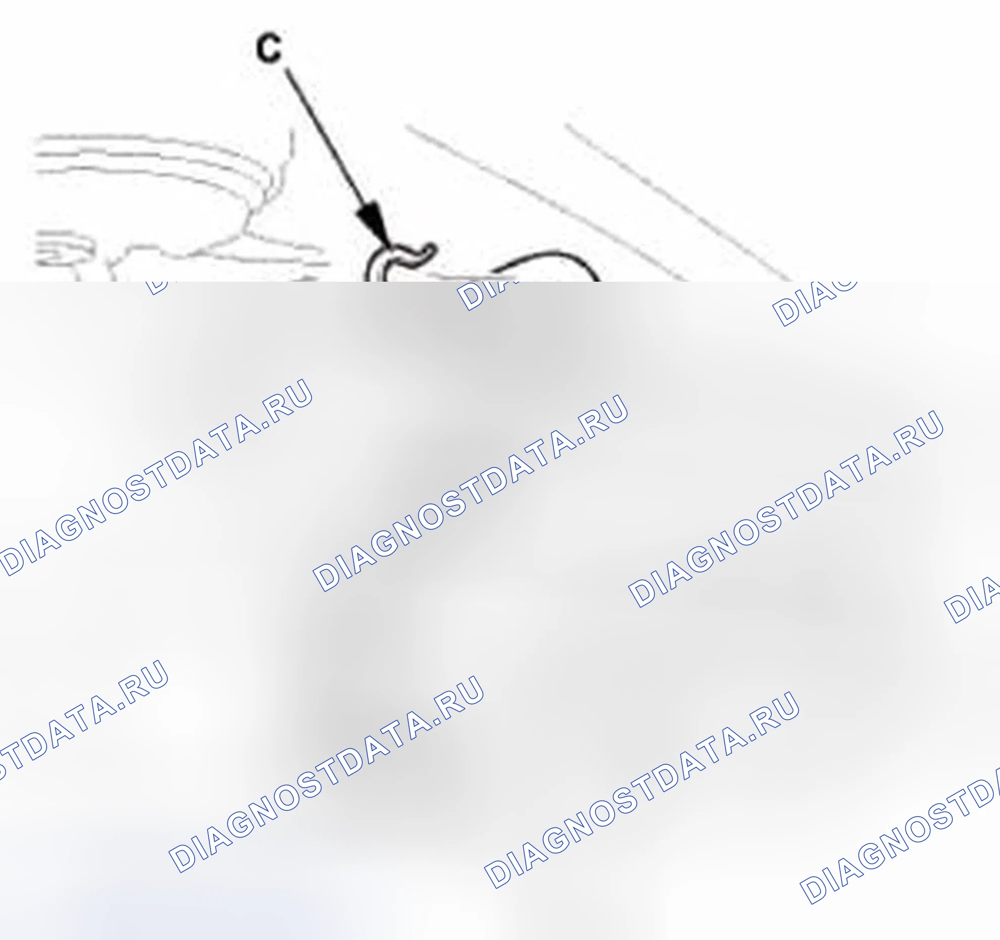 Рис. 2. Honda CR-V IV