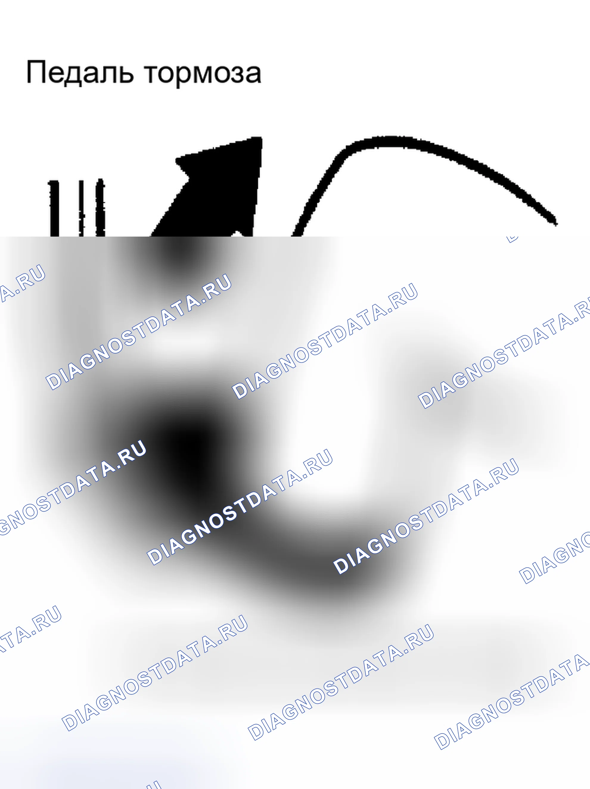 Рис. 14. Nissan Altima L31 рестайлинг