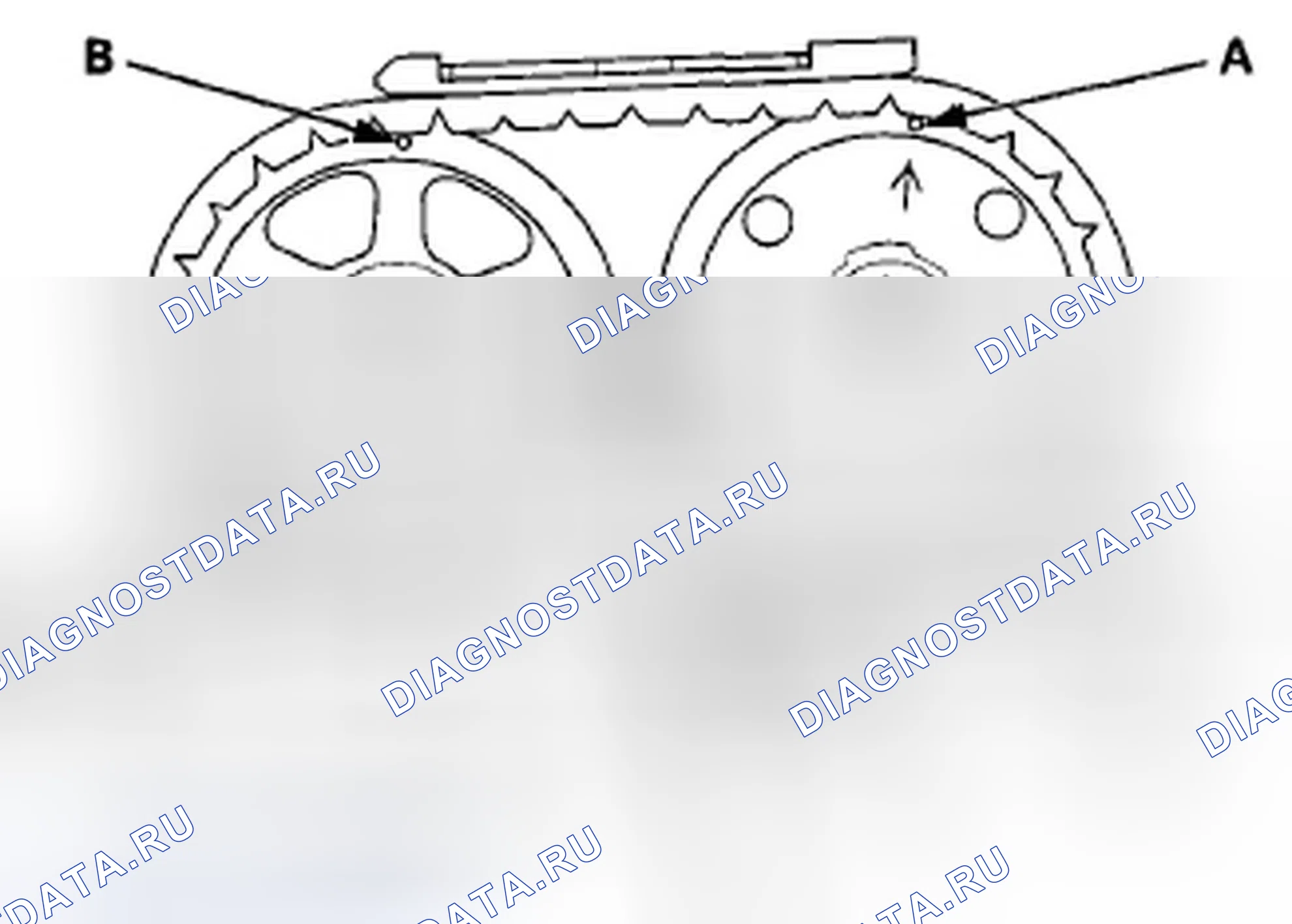 Рис. 553: Проверка кулачковой цепи. Honda Accord VIII