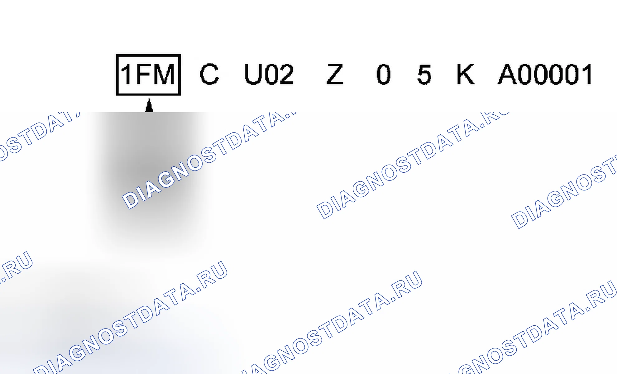Рис. 3: Идентификатор мирового производителя. Ford Escape I рестайлинг