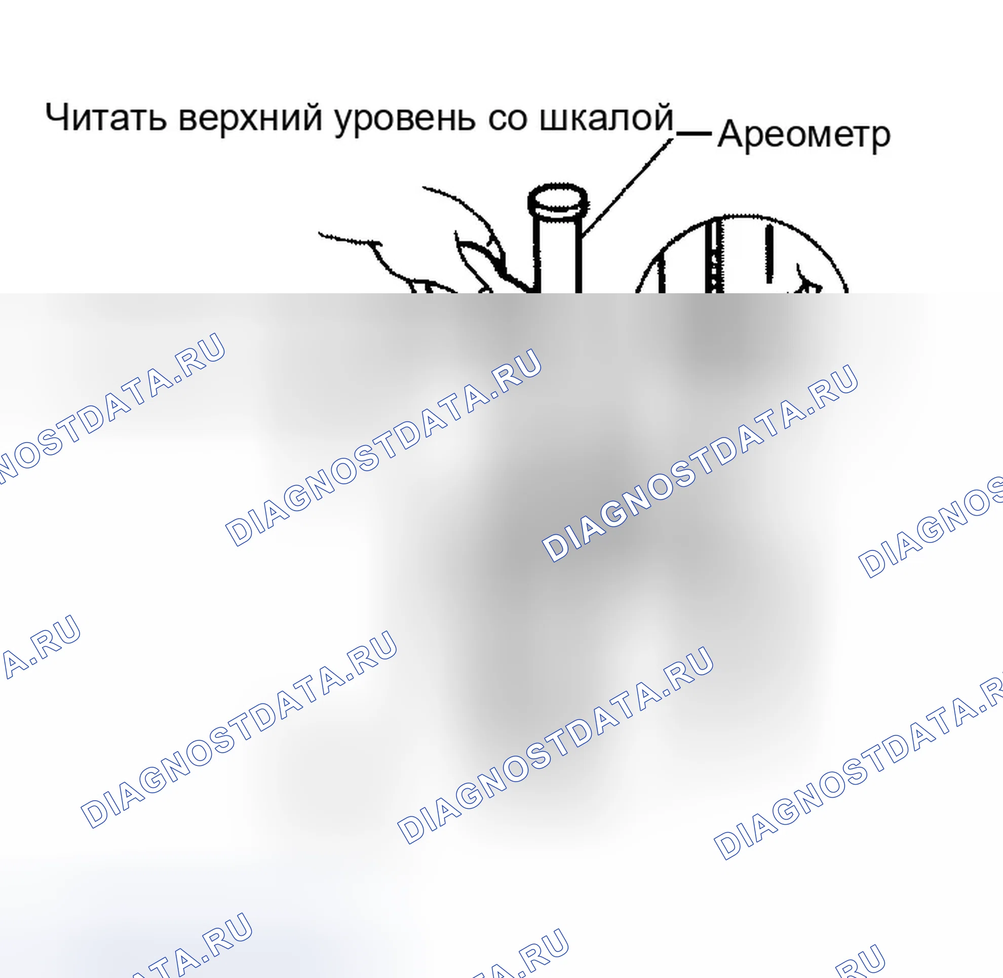 Рис. 42: ПРОВЕРКА УДЕЛЬНОГО ВЕСА. Infiniti QX56 I