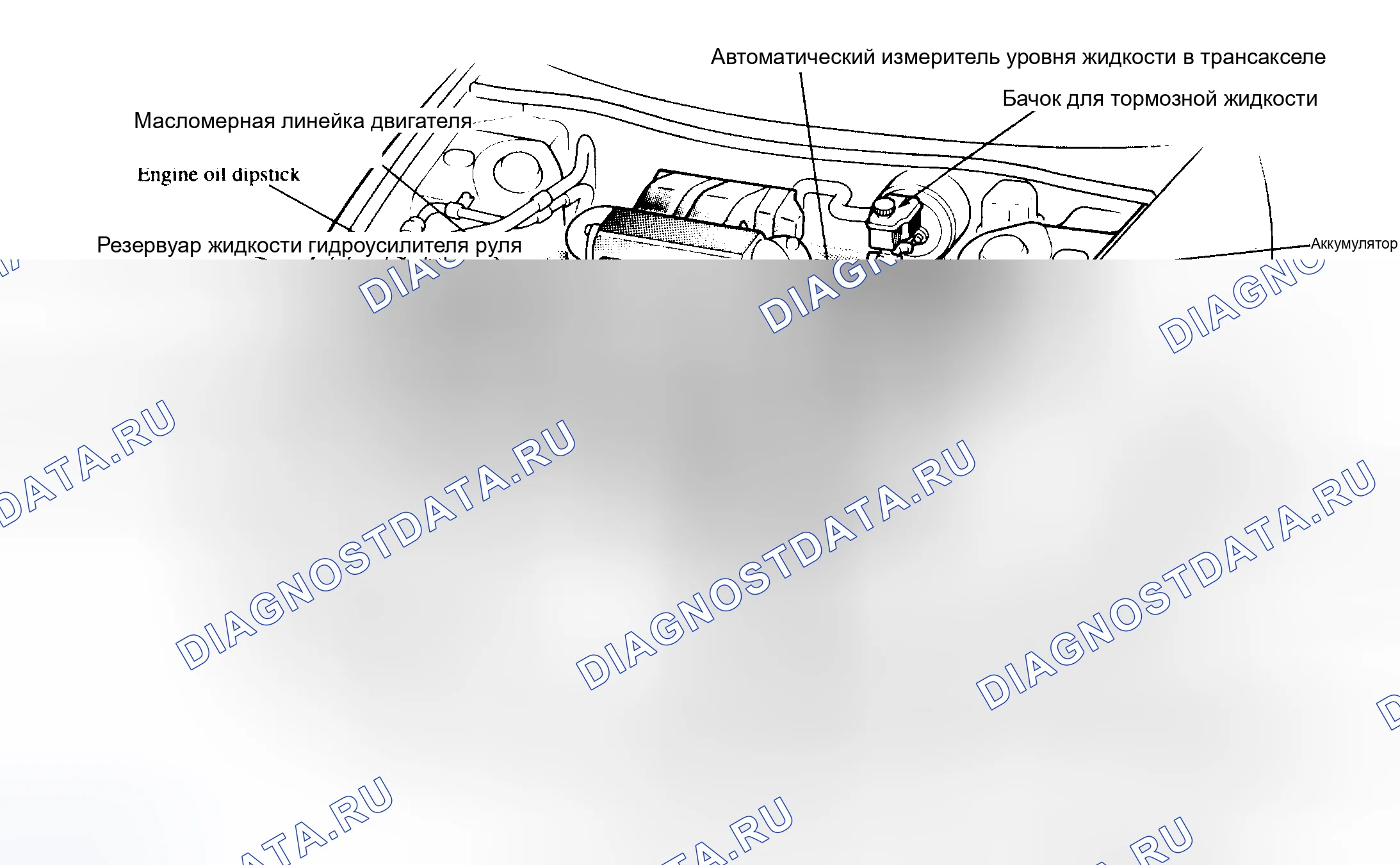 Рис. 3: РАСПОЛОЖЕНИЕ ТОЧЕК ОБСЛУЖИВАНИЯ. Mazda Millenia I