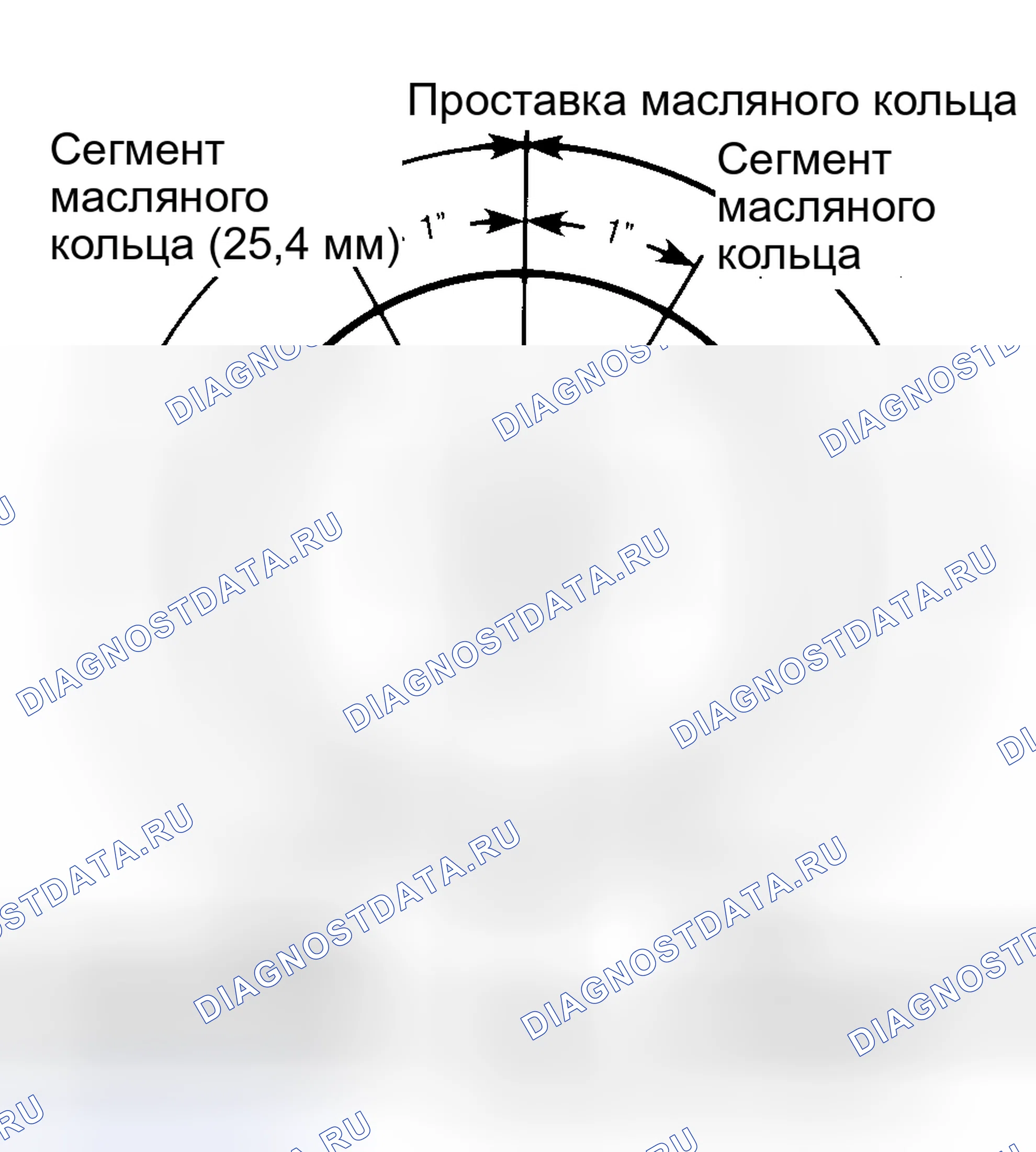 Рис. 32: Поршневые кольца. Ford Mustang IV