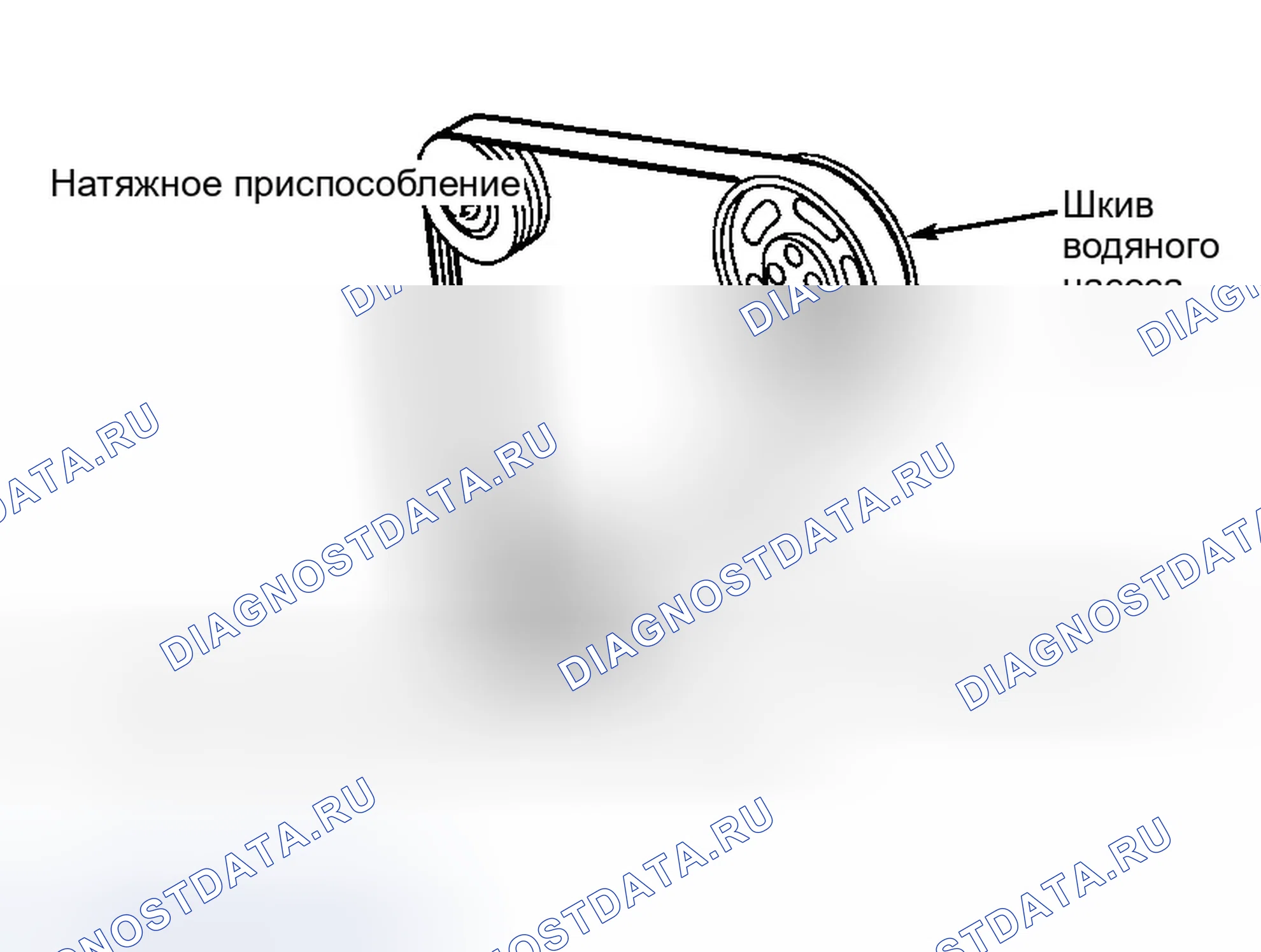 Рис. 15: РАЗВОДКА ПРИВОДНОГО РЕМНЯ (2,5 л). Ford Contour I рестайлинг