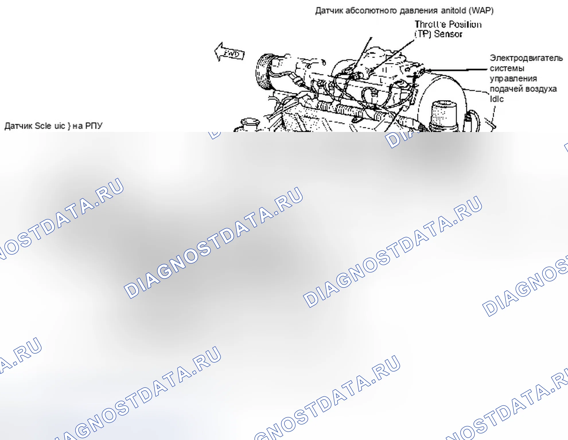 Рис. 2: Расположение компонентов (2 из 4). Dodge Dakota WS 