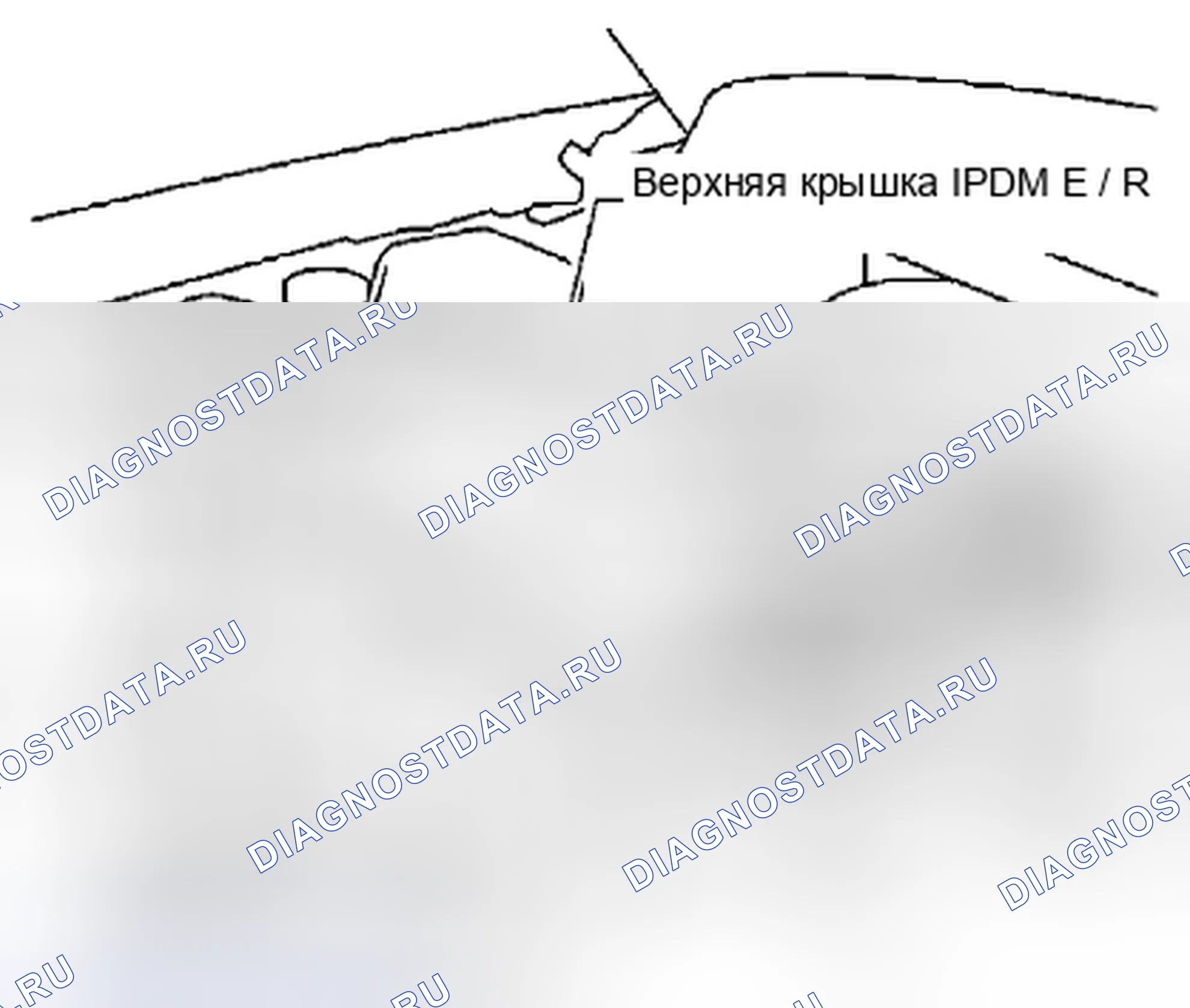 Рис. 484. Suzuki Equator I