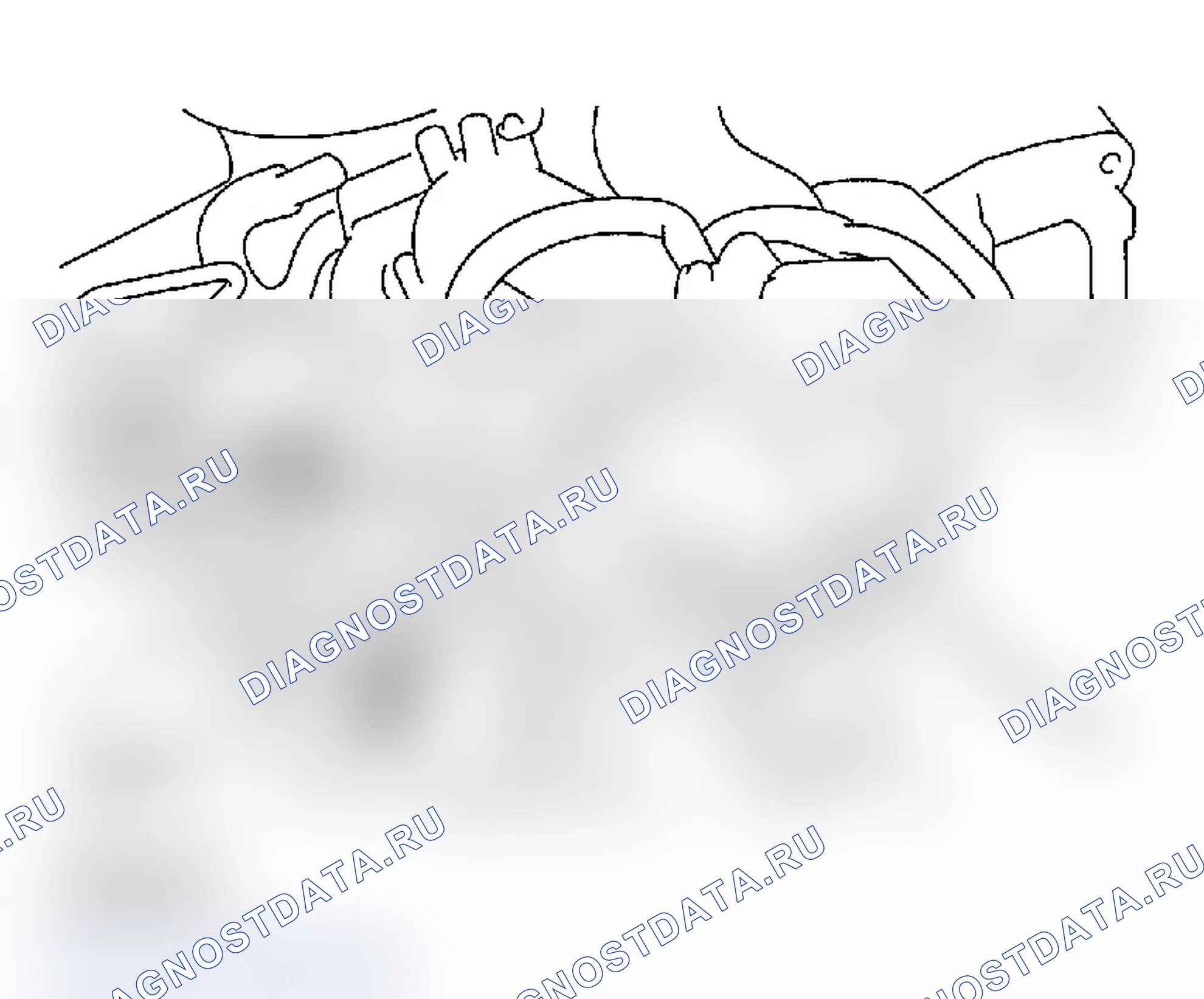 Рис. 508. Subaru Impreza WRX GD/GG рестайлинг