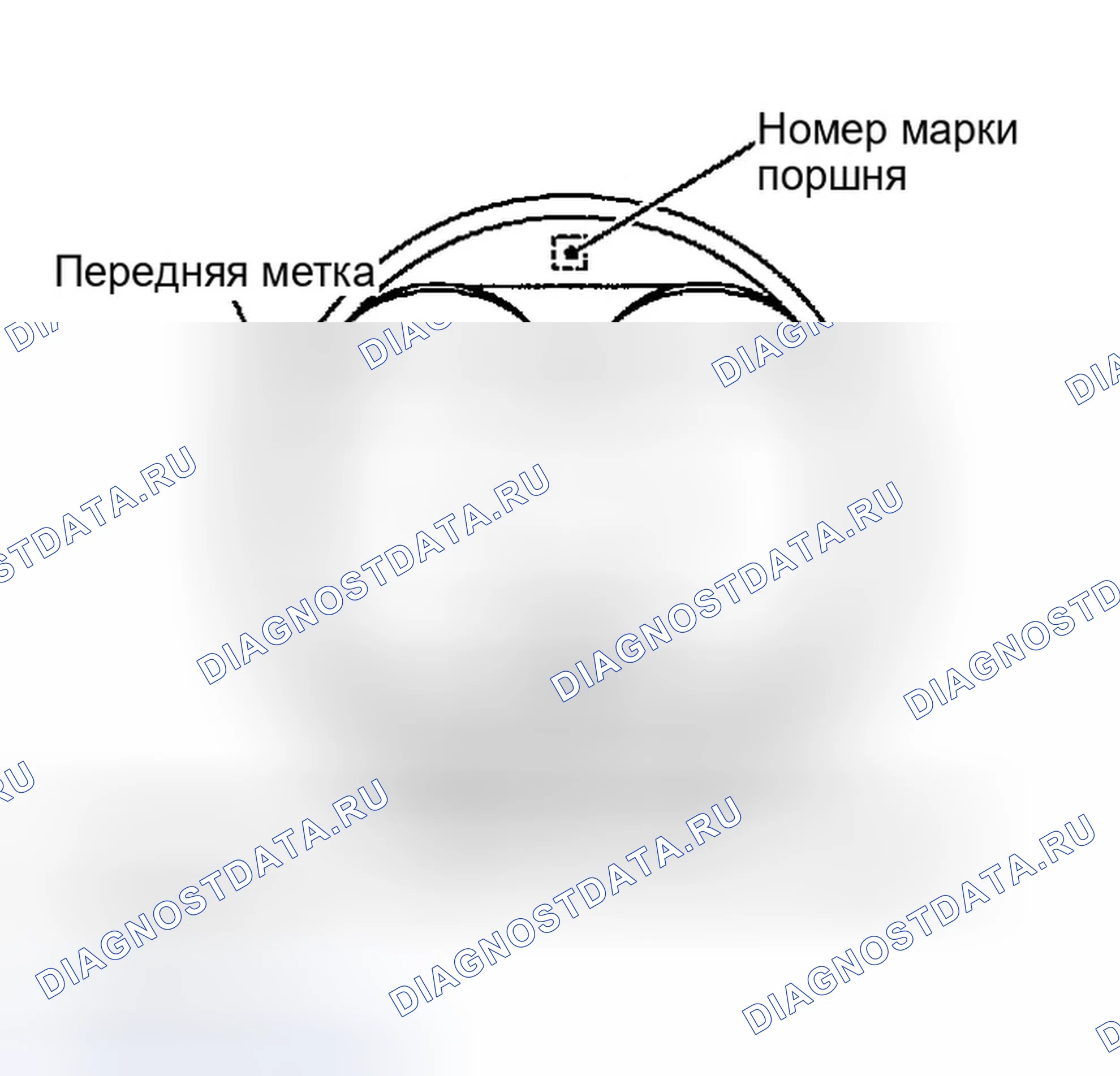 Рис. 1453. Infiniti G35 III