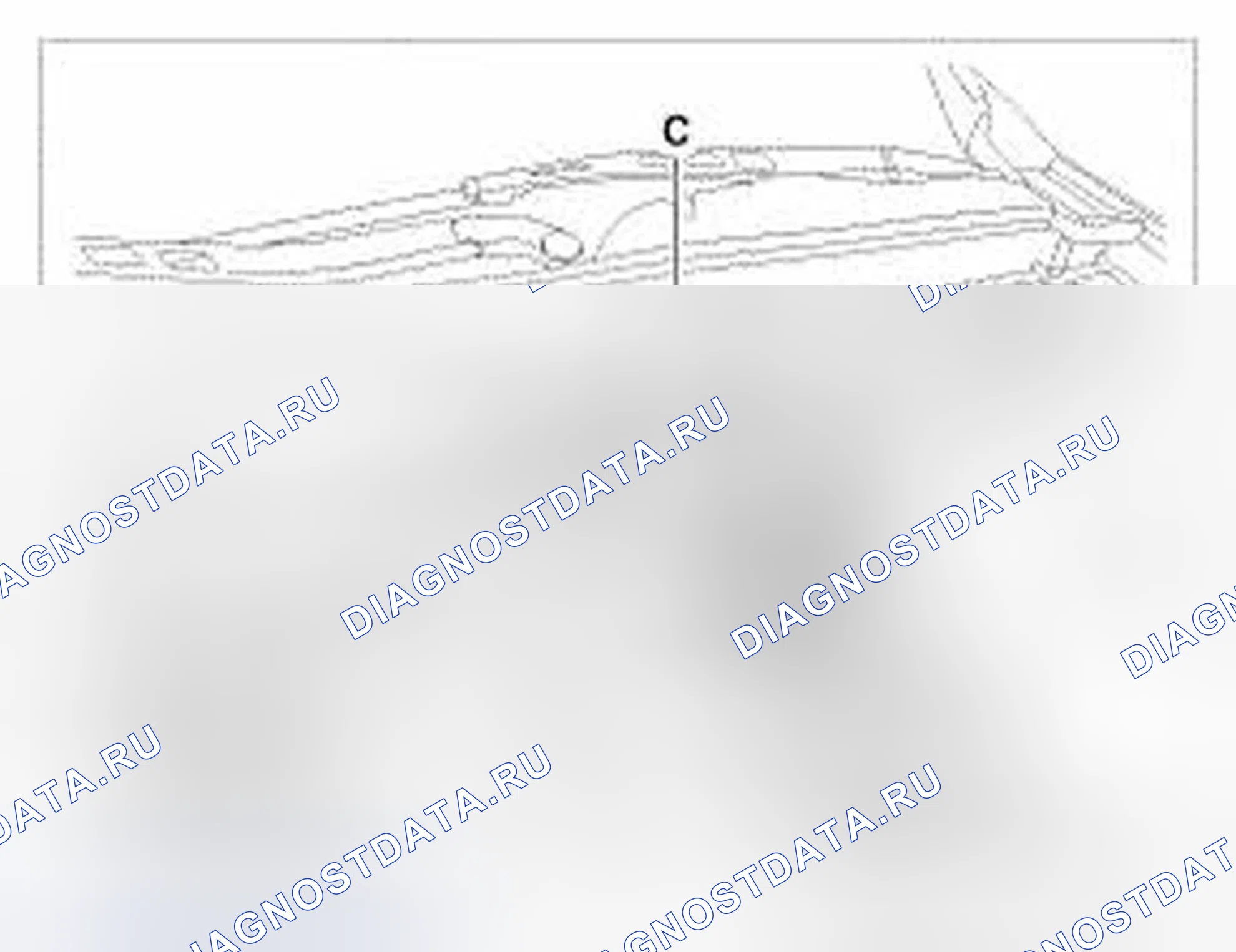 Рис. 207. Hyundai Genesis I рестайлинг