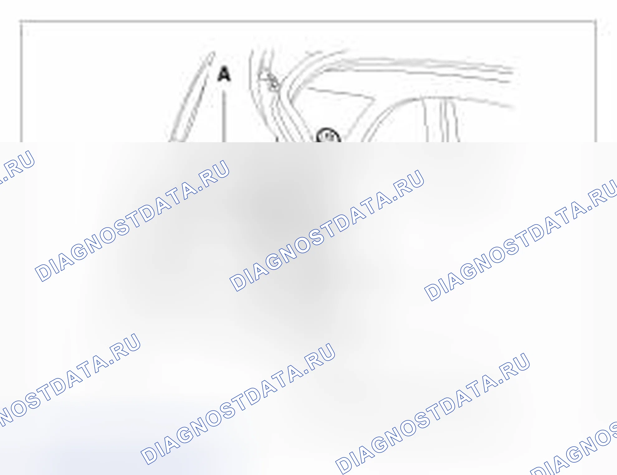 Рис. 65: [5 Дверь]. BMW 6 серия F06/F13/F12