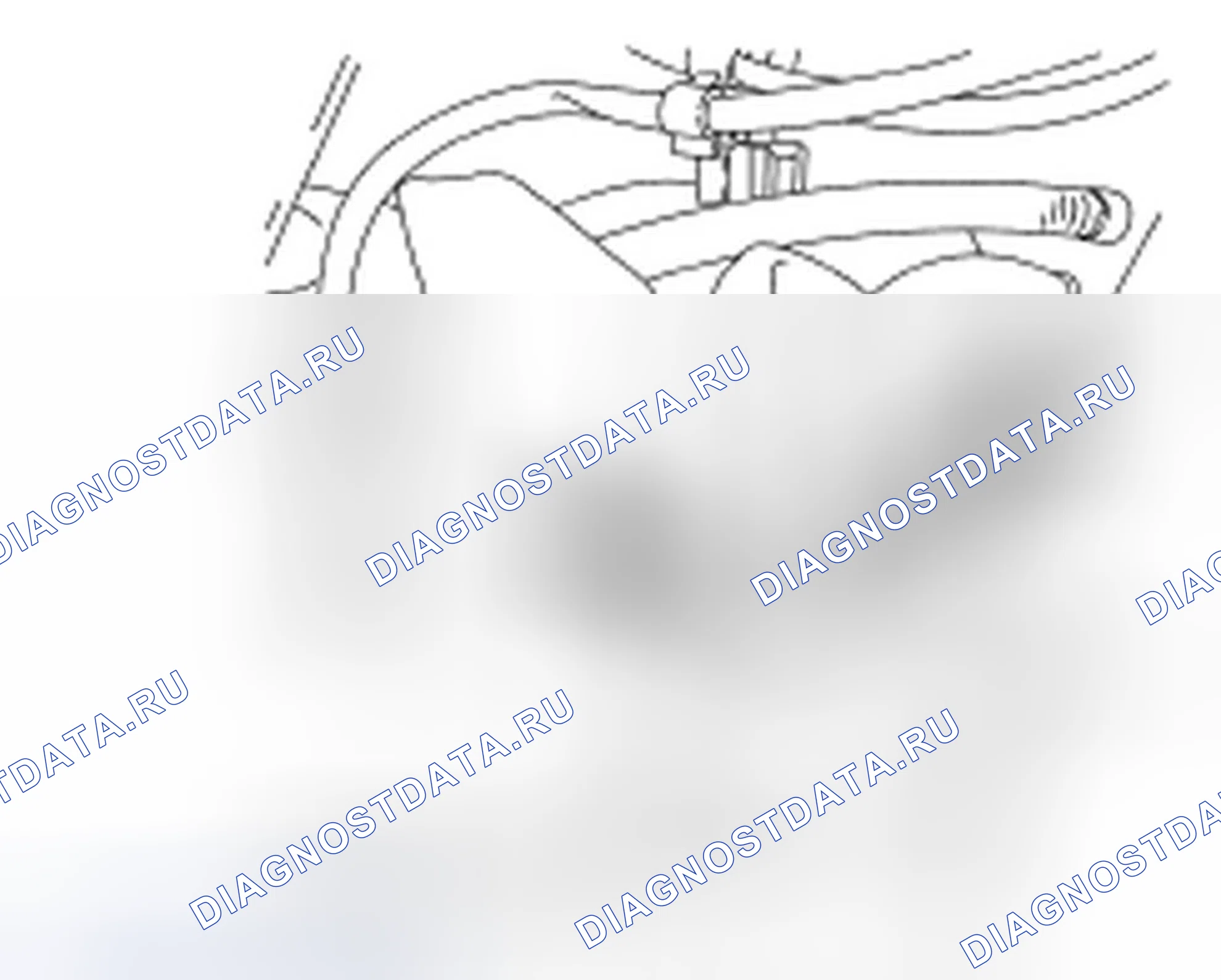 Рис. 100. Ford Focus II