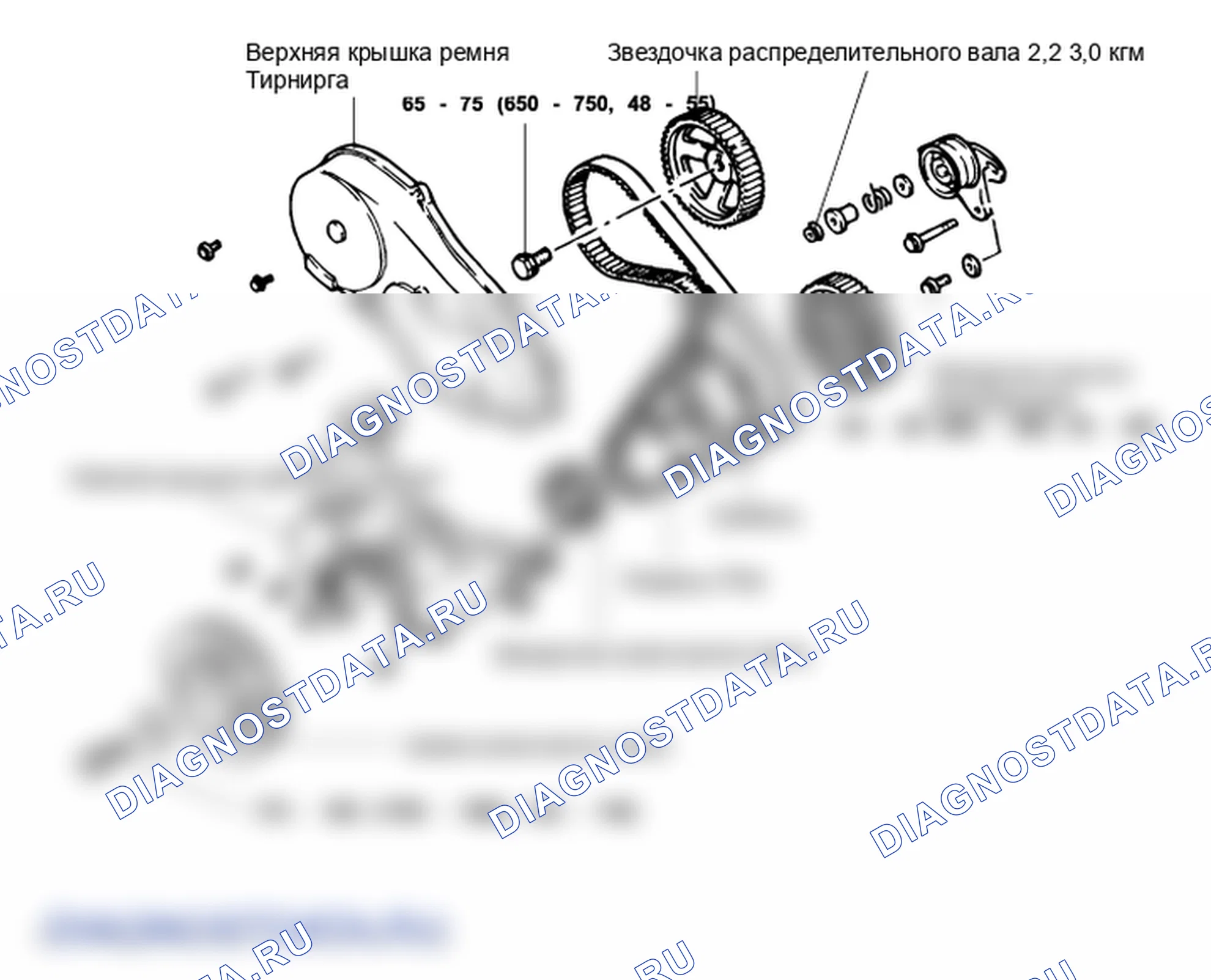 Расположение деталей ремня ГРМ. Hyundai H-1 A1